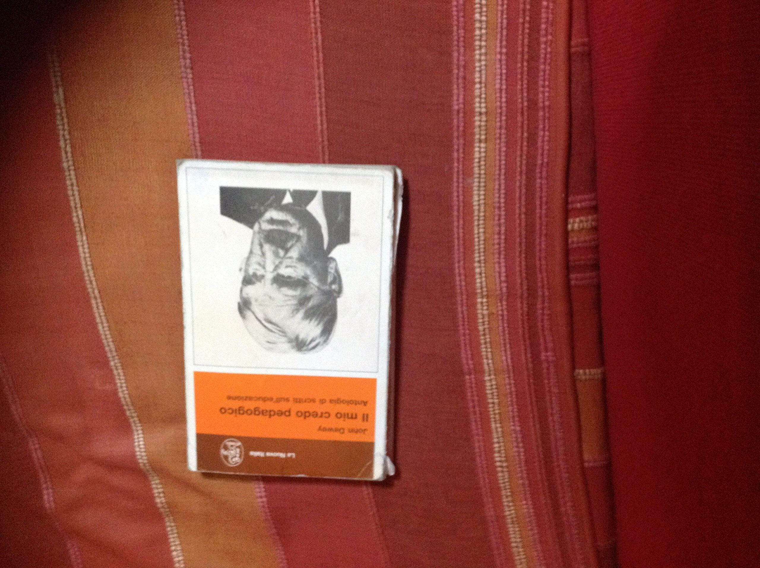 Il mio credo pedagogico. Antologia di scritti sull'educazione book