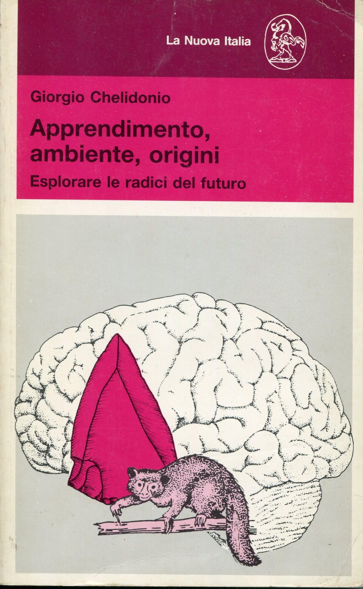 Apprendimento, ambiente, origini : esplorare le r Books