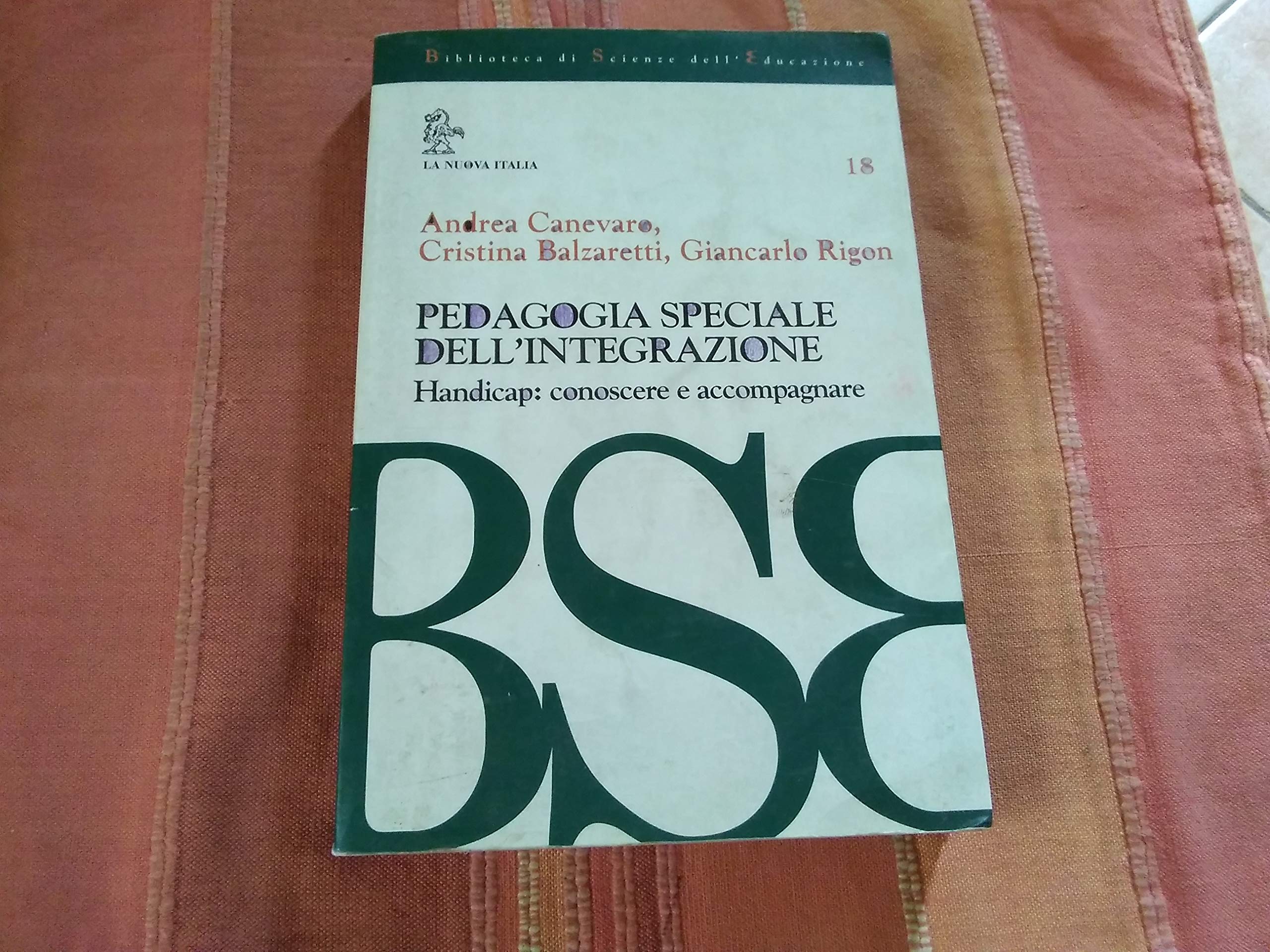 Pedagogia speciale dell'integrazione. Handicap: conoscere e accompagnare (Biblioteca di scienze dell'educazione) Education & Training