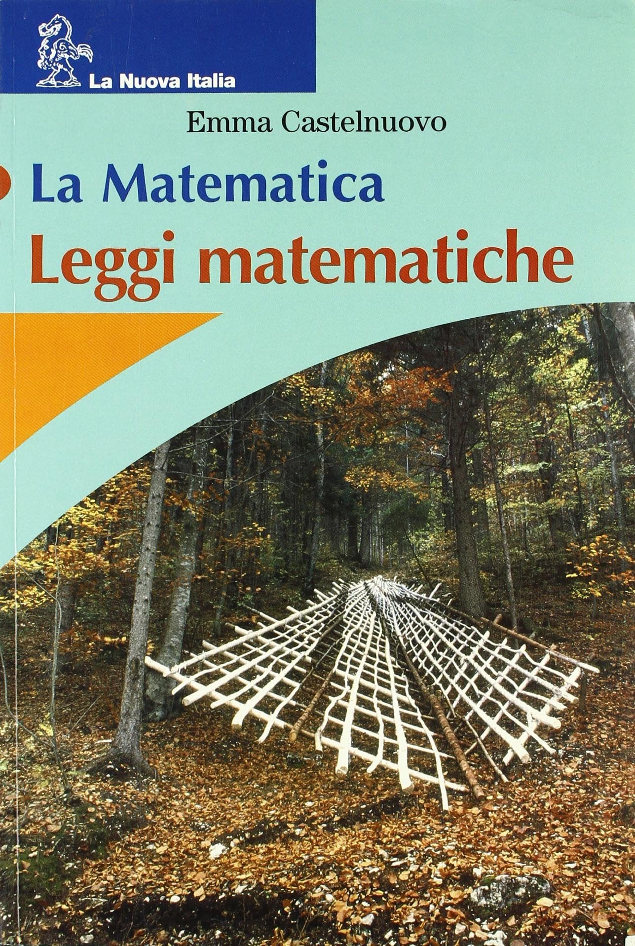 La matematica. Leggi matematiche. Per la Scuola media Professional & Reference Books