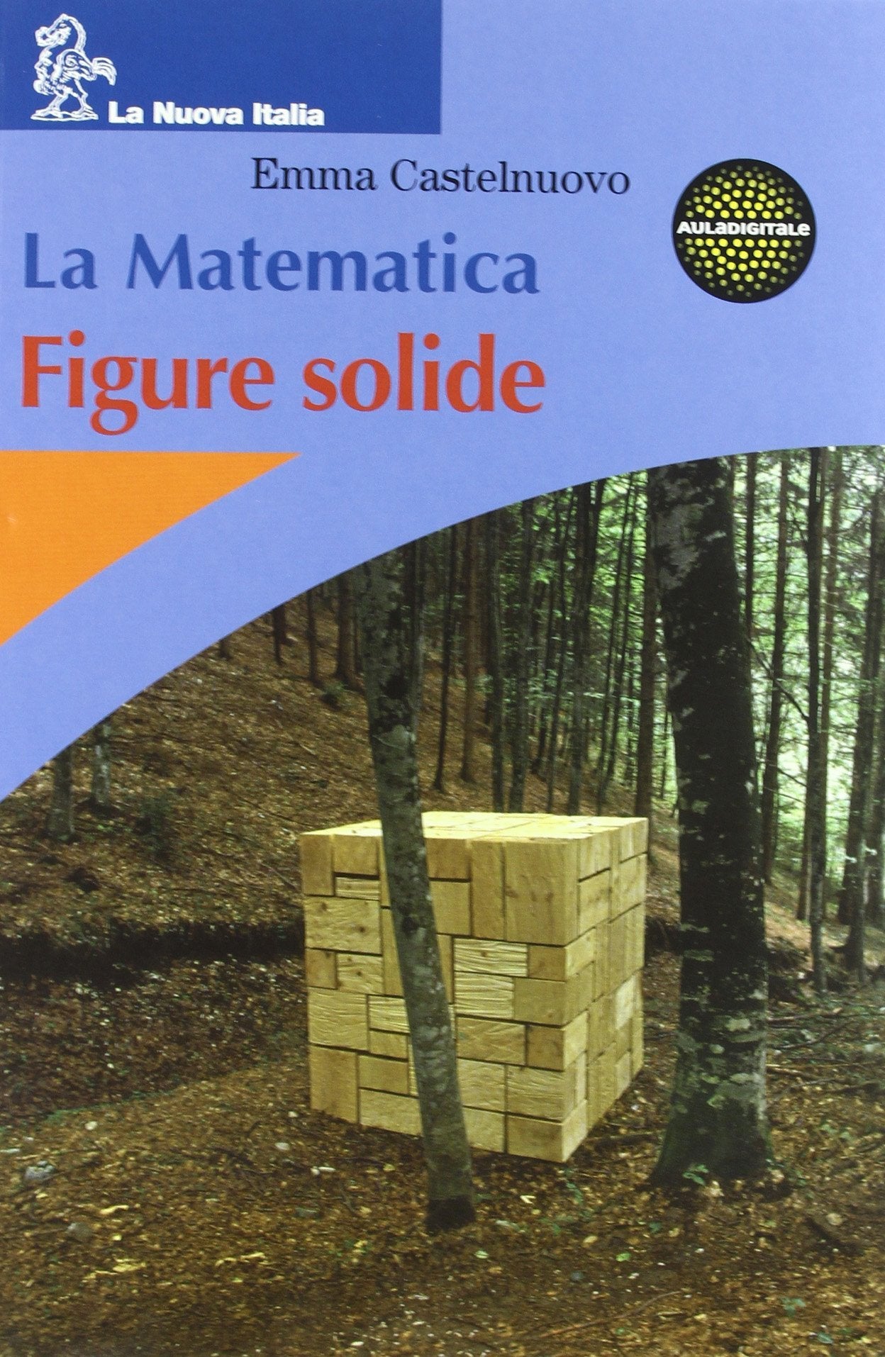 La matematica. Figure solide. Per la Scuola media Professional & Reference Books
