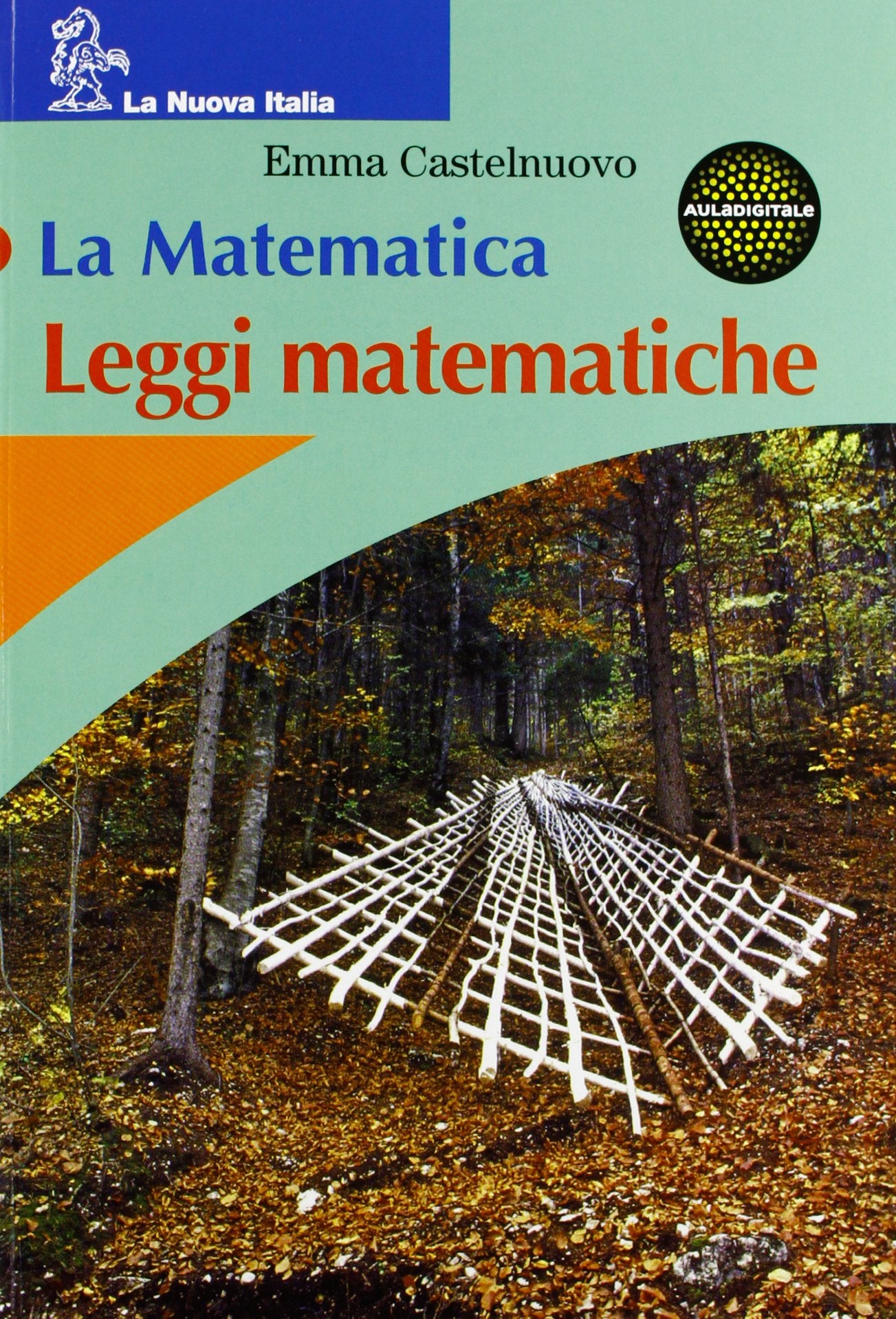 La matematica. Figure solide. Leggi matematiche. Per la Scuola media book