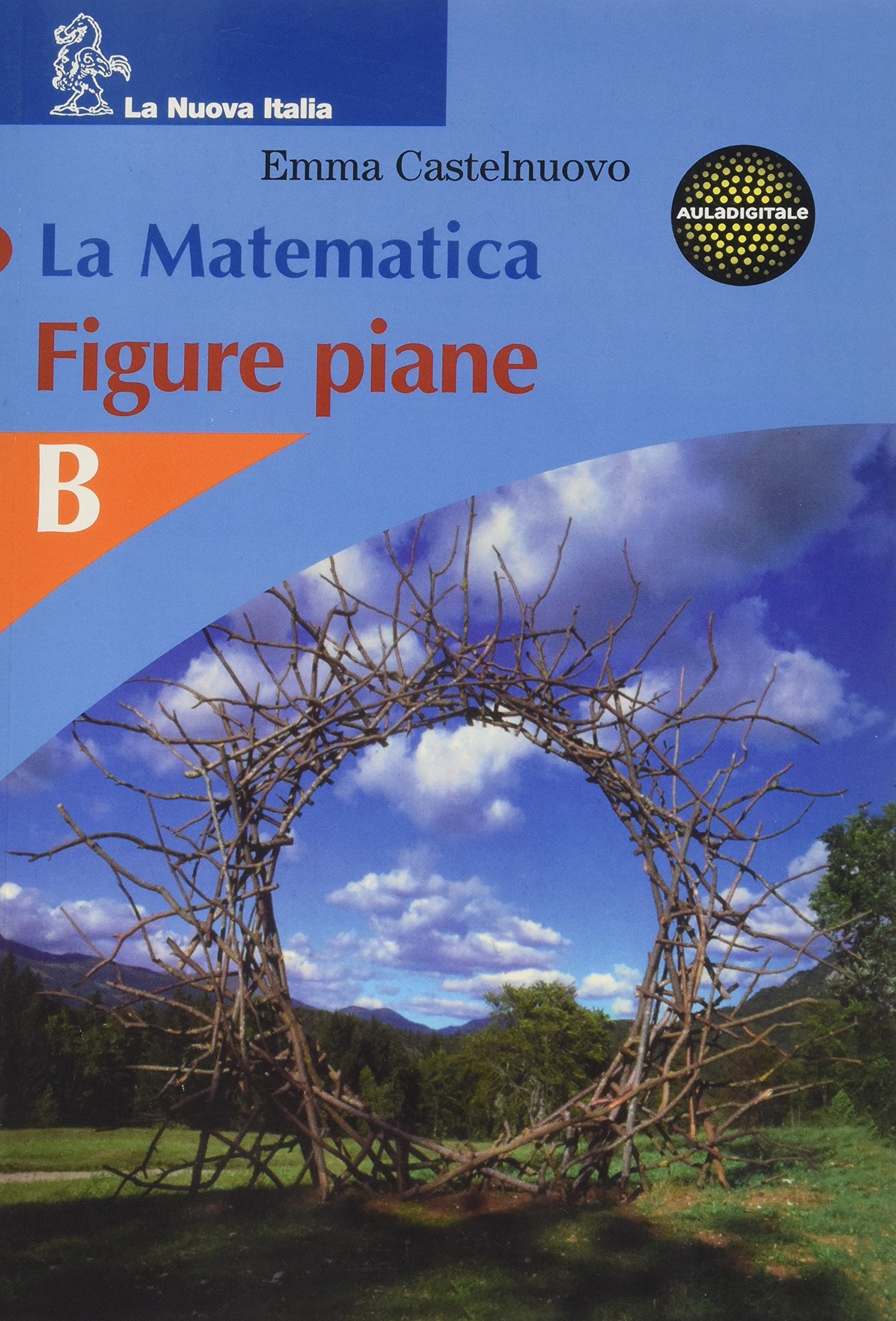 La matematica. Figure piane. Volume B. Per la Scuola media Professional & Reference Books