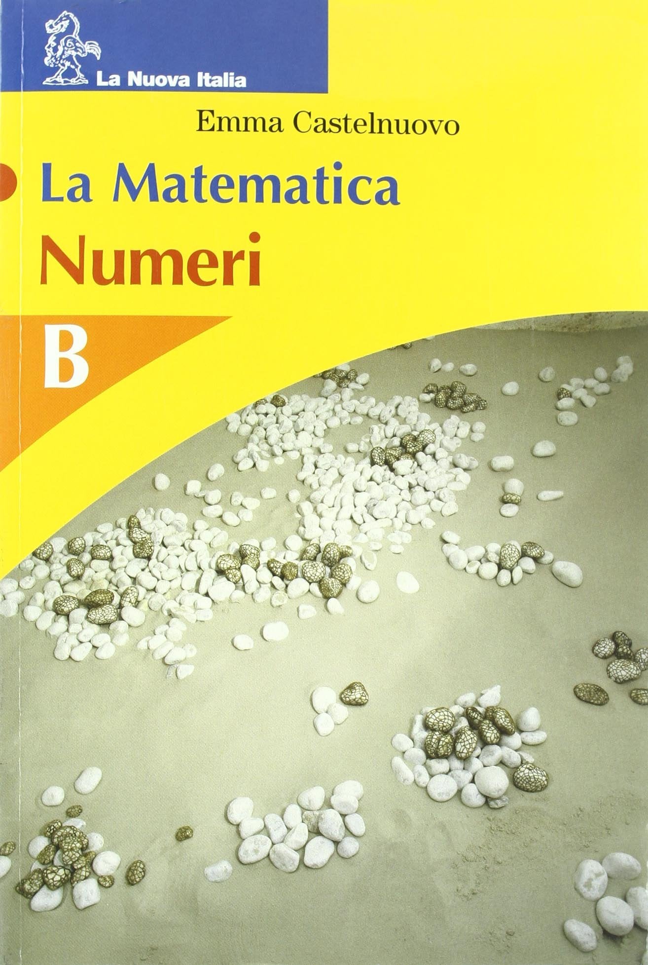 La matematica. Volume B. Numeri. Per la Scuola media Professional & Reference Books