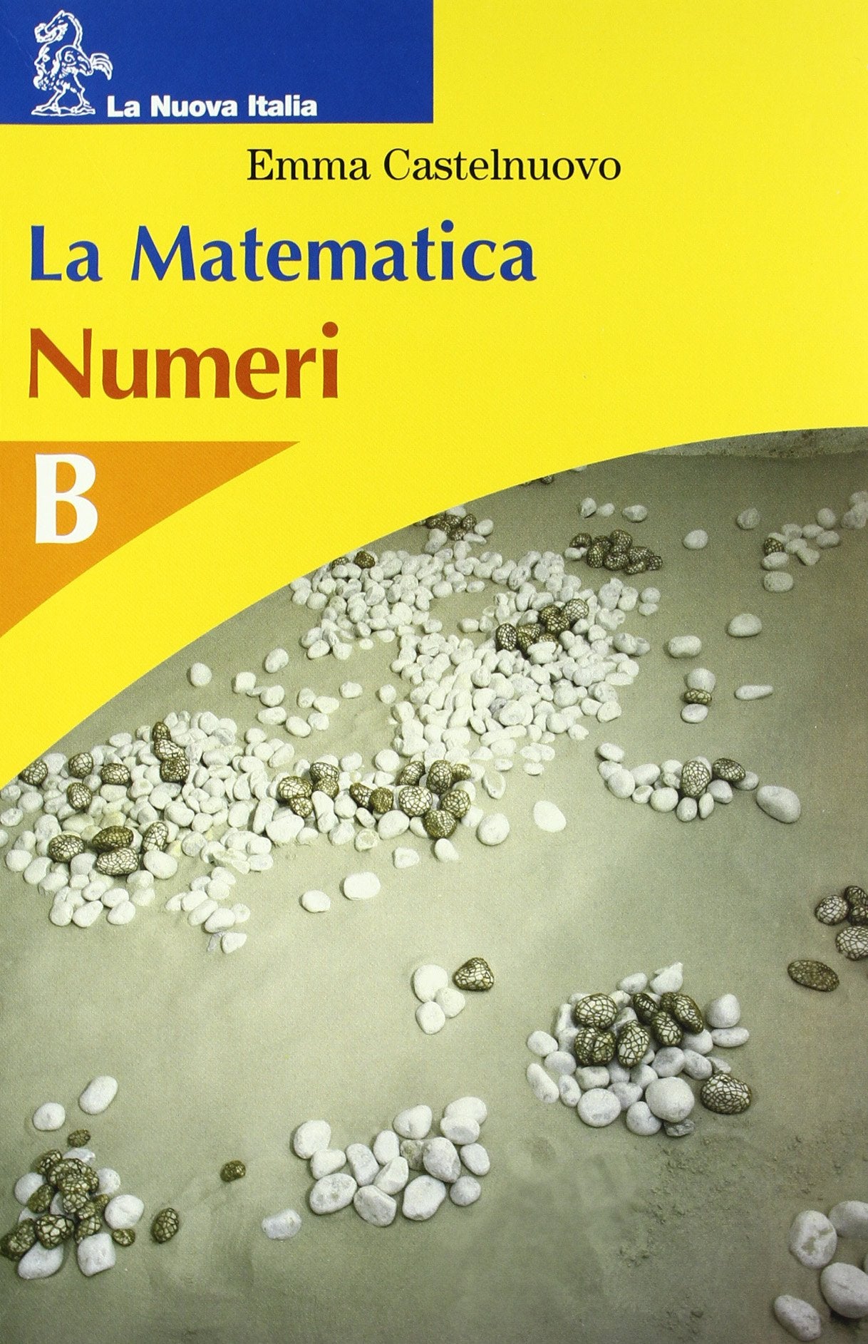 La matematica. Numeri-Figure piane. Modulo B. Per la Scuola media Professional & Reference Books