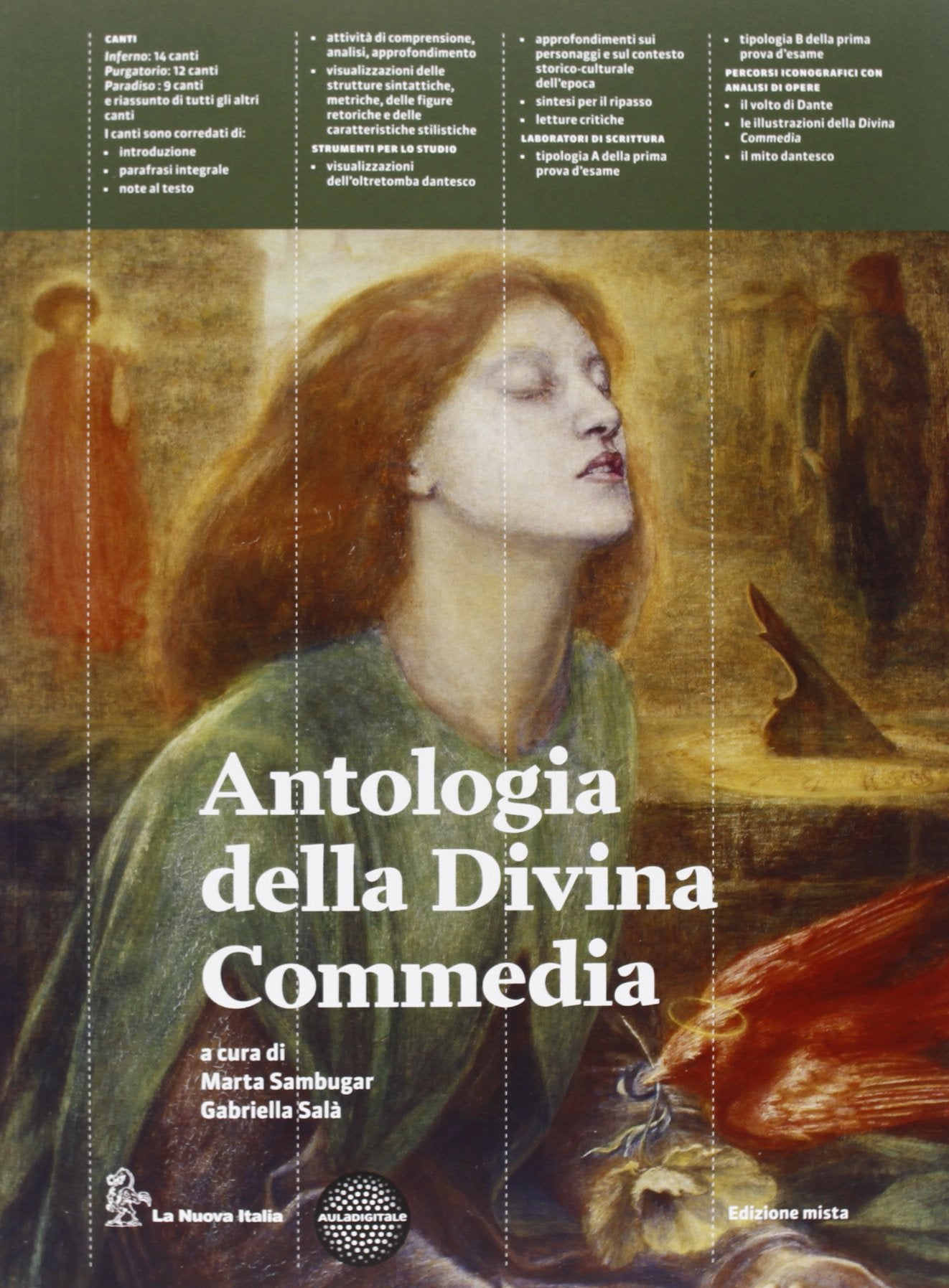 Visibile parlare. Con Antologia della Divina Commedia. Per le Scuole superiori book
