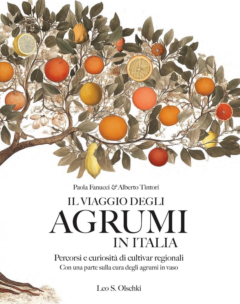 Il viaggio degli agrumi in Italia. Percorsi e curiosità di cultivar regionali. Con una parte sulla cura degli agrumi in vaso. Ediz. a colori book