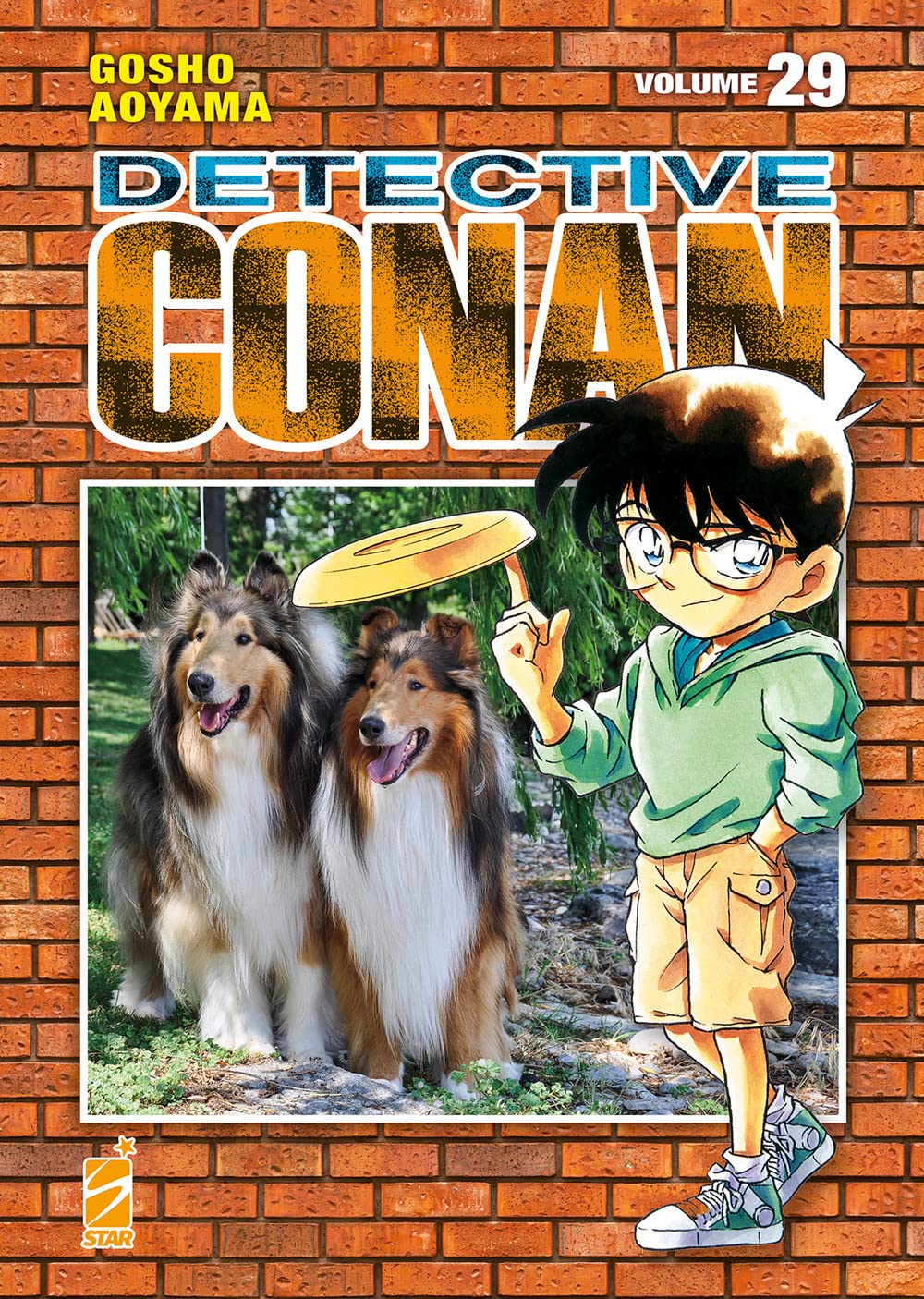 Detective Conan. New edition (Vol. 29) book