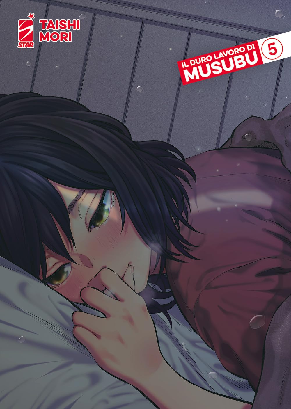 Il duro lavoro di Musubu (Vol. 5) book