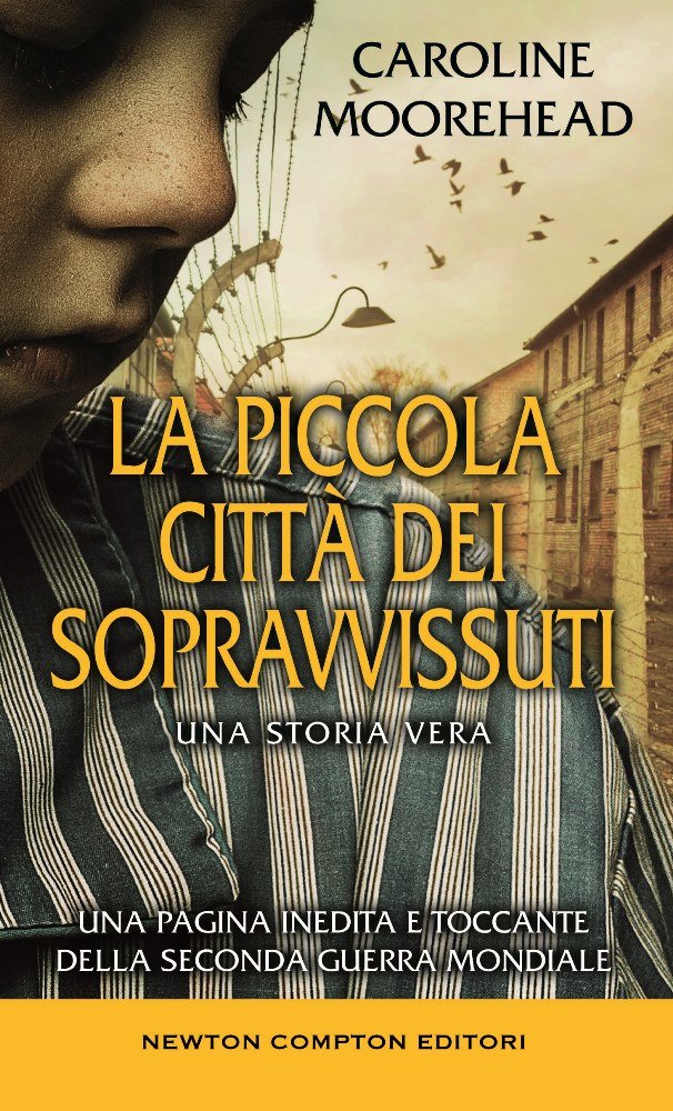 La piccola città dei sopravvissuti book