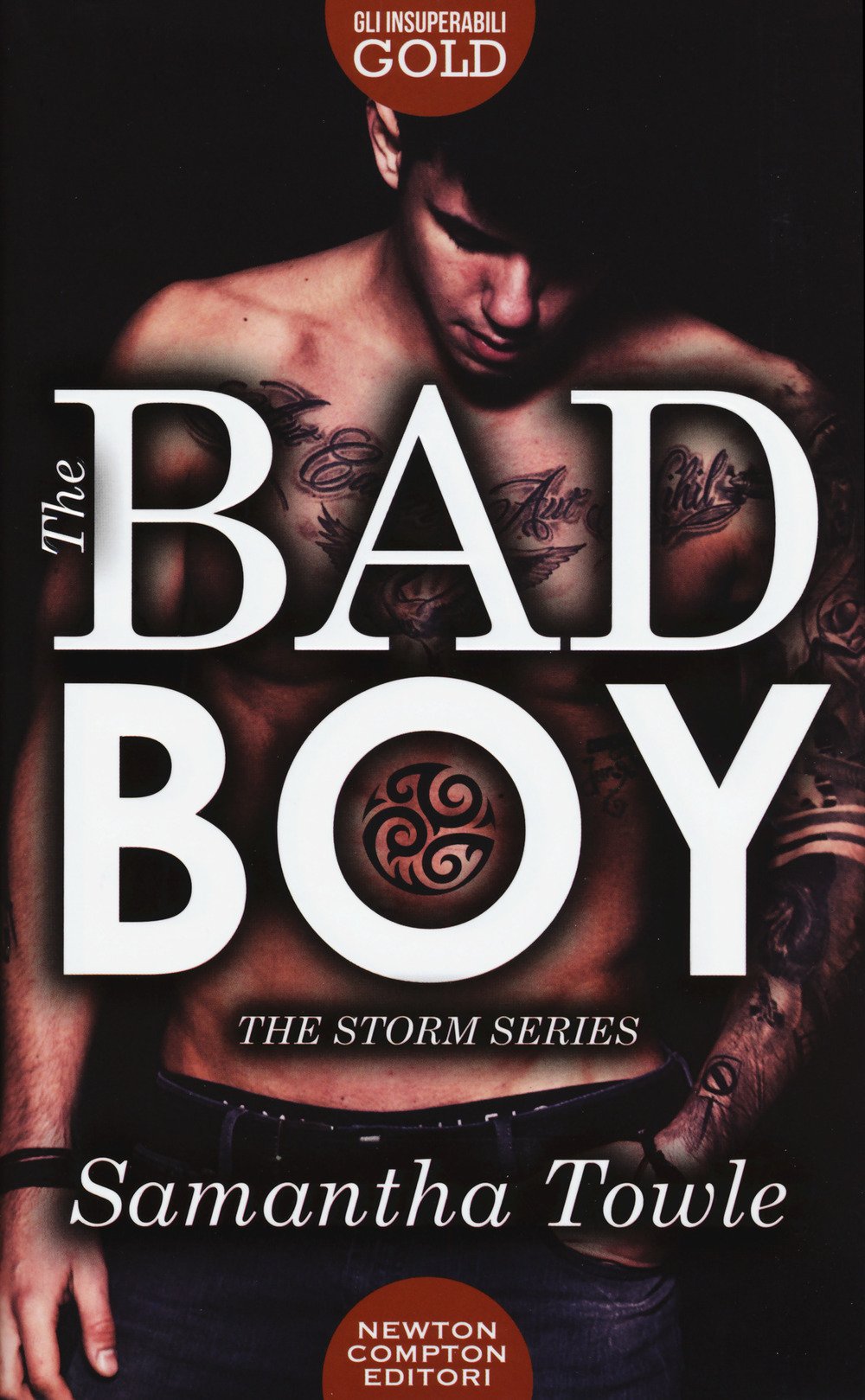 The bad boy. The Storm series book