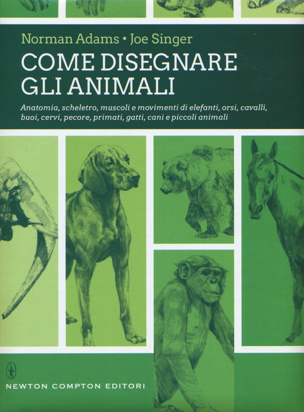 Come disegnare gli animali. Ediz. illustrata book