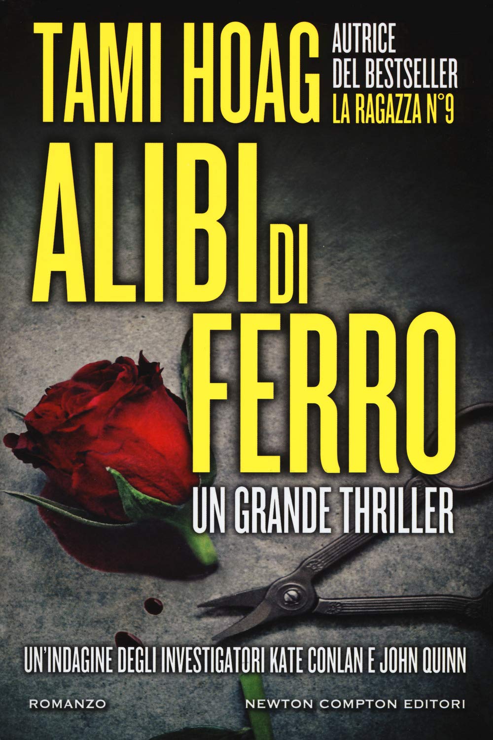 Alibi di ferro (Nuova narrativa Newton, Band 805) Contemporary literature