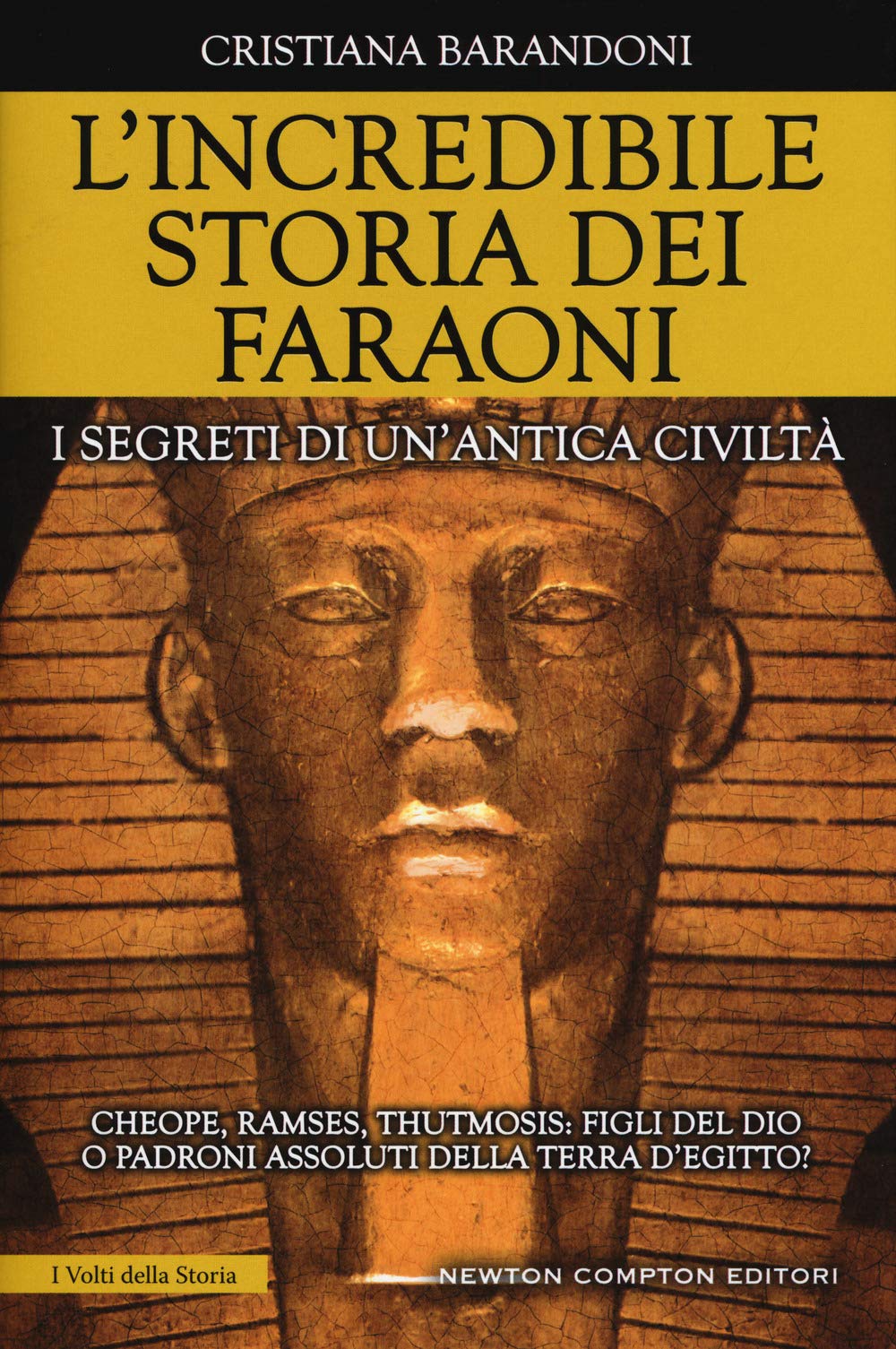 L'incredibile storia dei faraoni. I segreti di un'antica civiltà (I volti della storia, Band 440) Politics & History