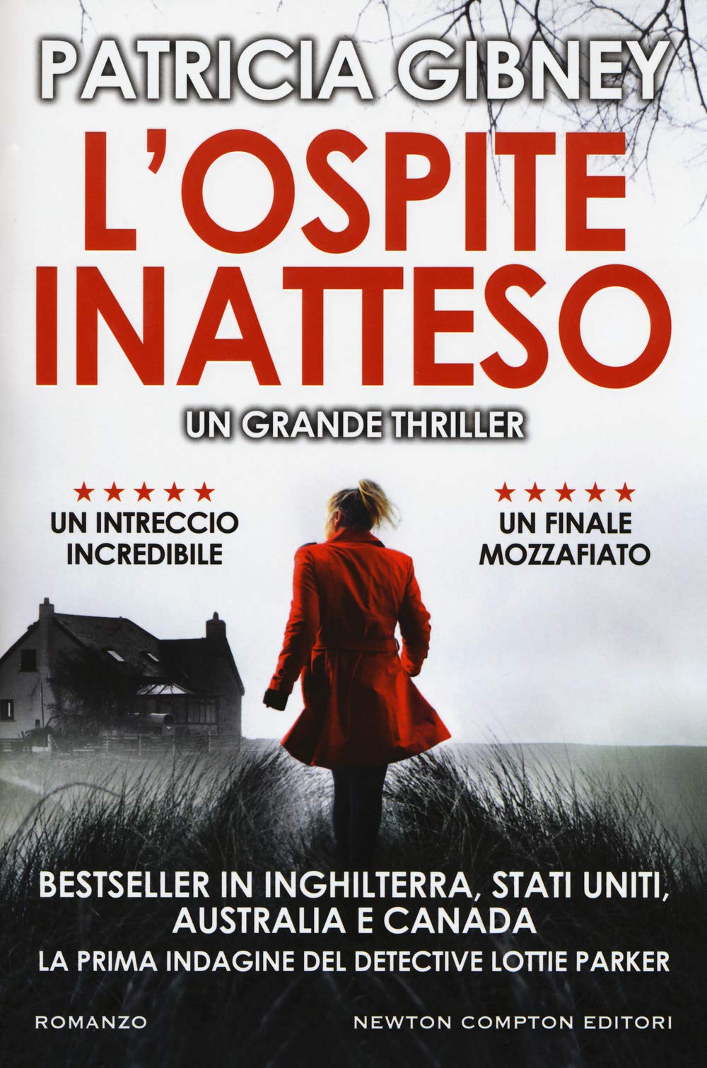 L'ospite inatteso (Nuova narrativa Newton, Band 824) Contemporary literature