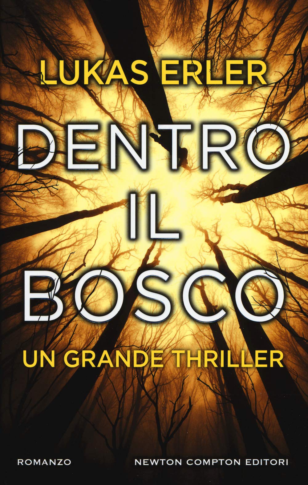 Dentro il bosco (Nuova narrativa Newton, Band 860) Contemporary literature