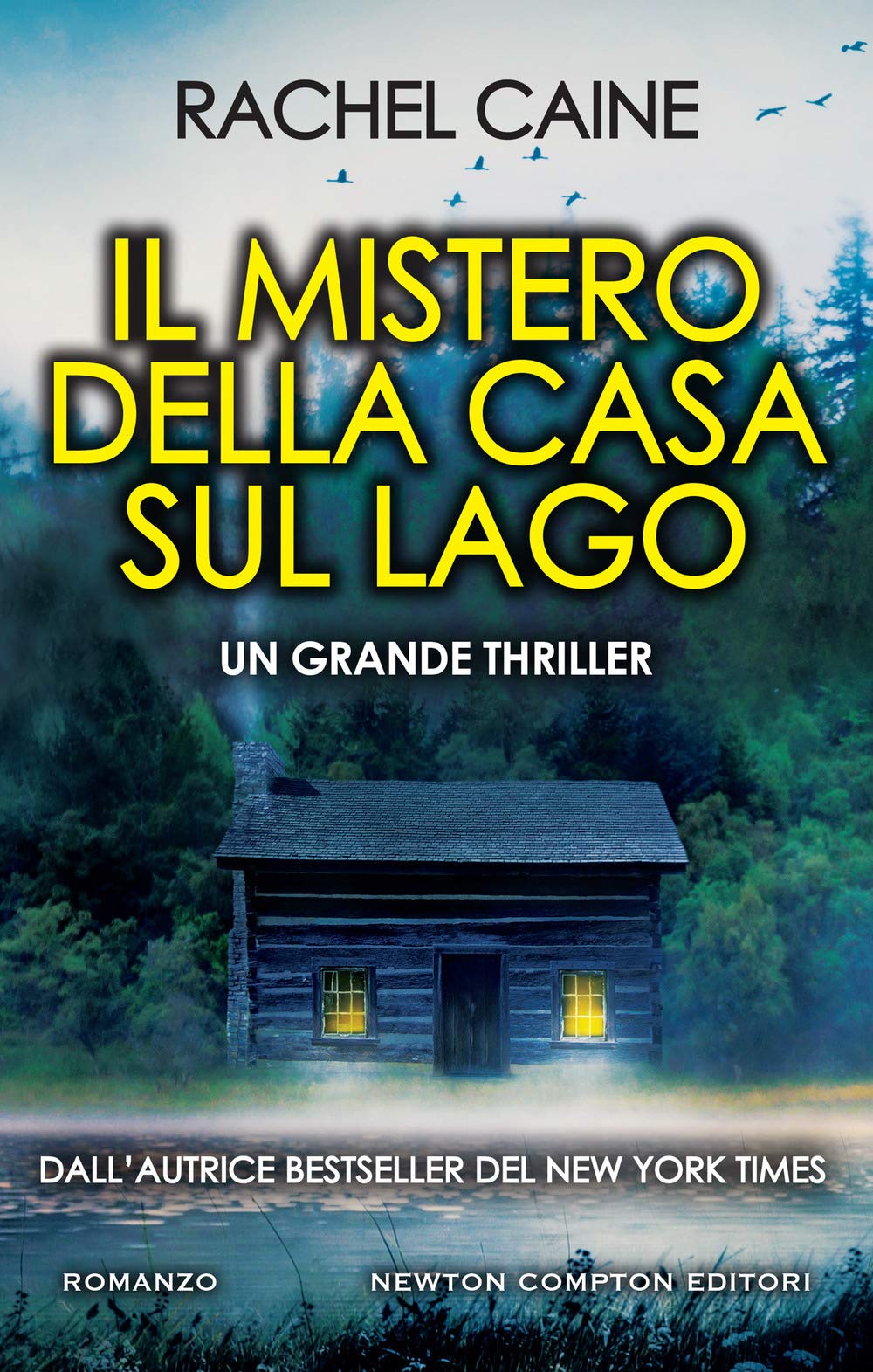 Il mistero della casa sul lago book