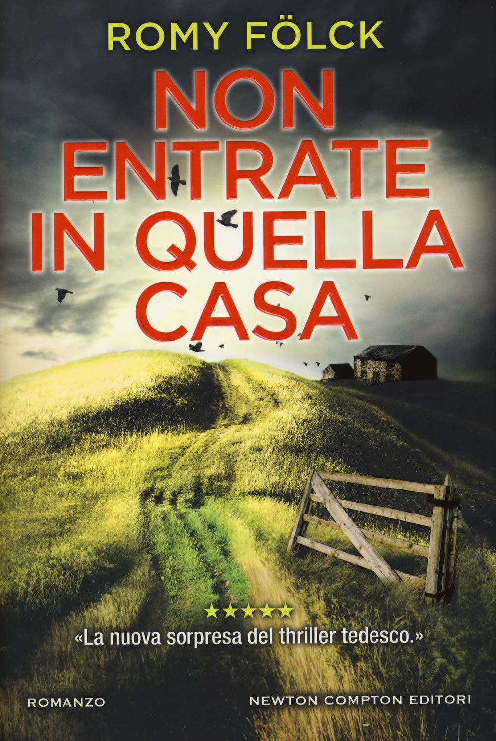 Non entrate in quella casa (Nuova narrativa Newton, Band 968) Contemporary literature Books