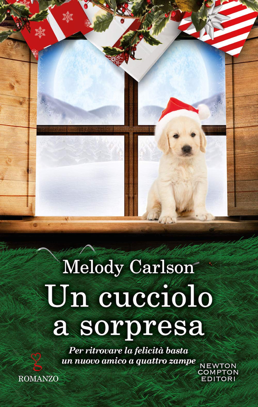 Un cucciolo a sorpresa (Anagramma, Band 799) Contemporary literature
