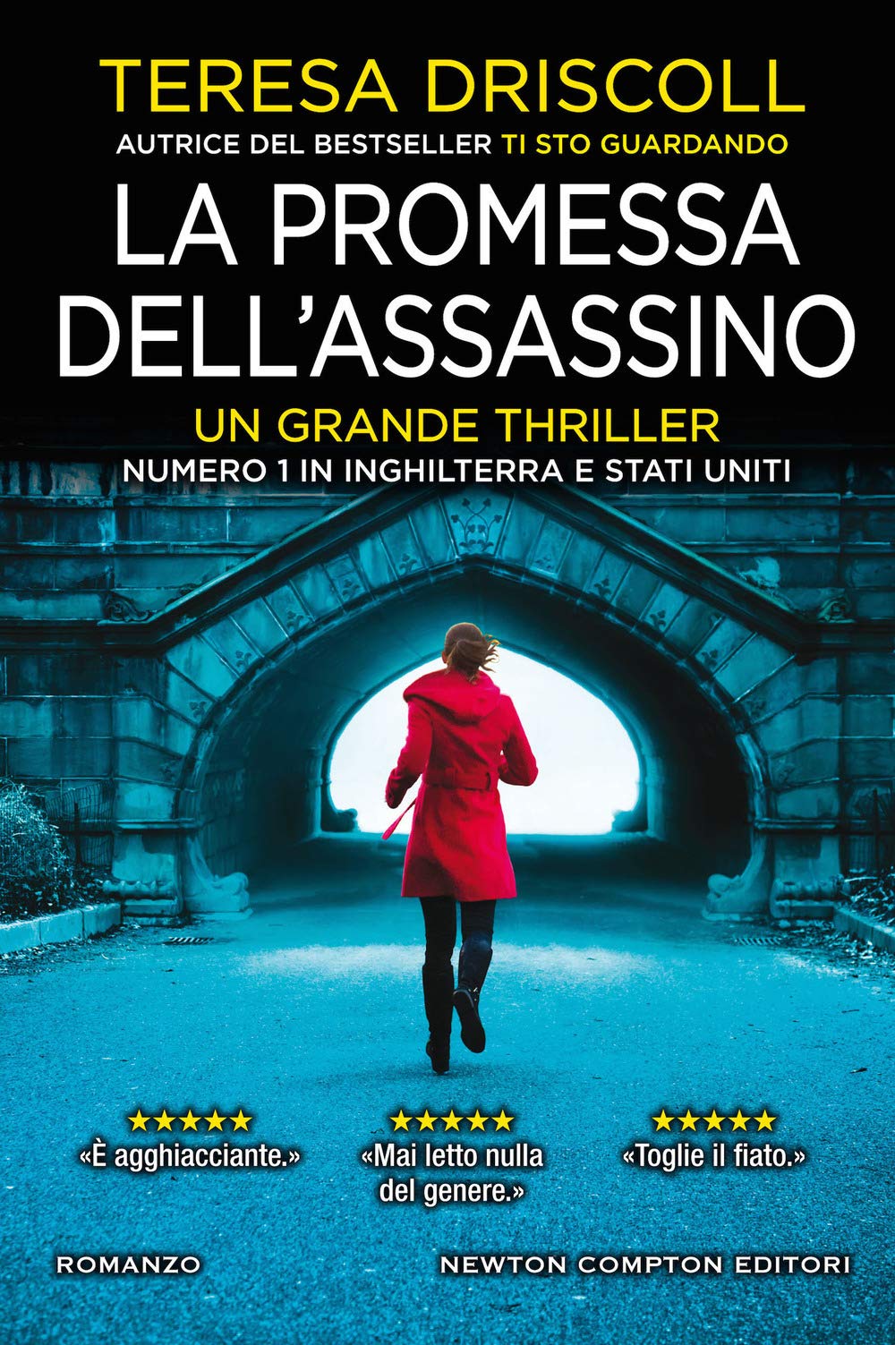 La promessa dell'assassino (Nuova narrativa Newton, Band 1060) Contemporary literature
