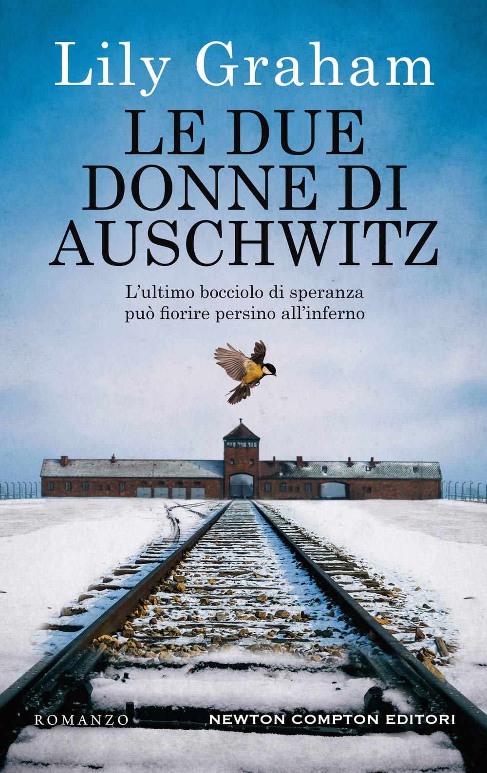 Le due donne di Auschwitz (3.0, Band 161) Historical Fiction