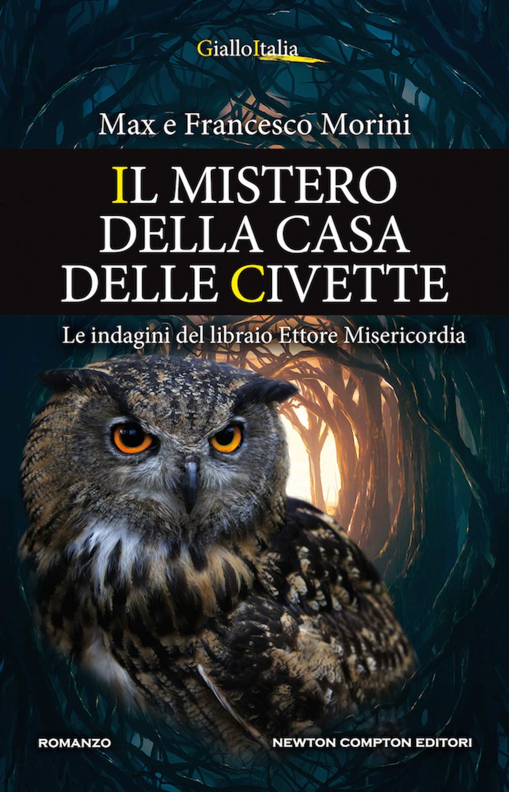 Il mistero della casa delle civette. Le indagini del libraio Ettore Misericordia (Nuova narrativa Newton, Band 1117) Contemporary literature