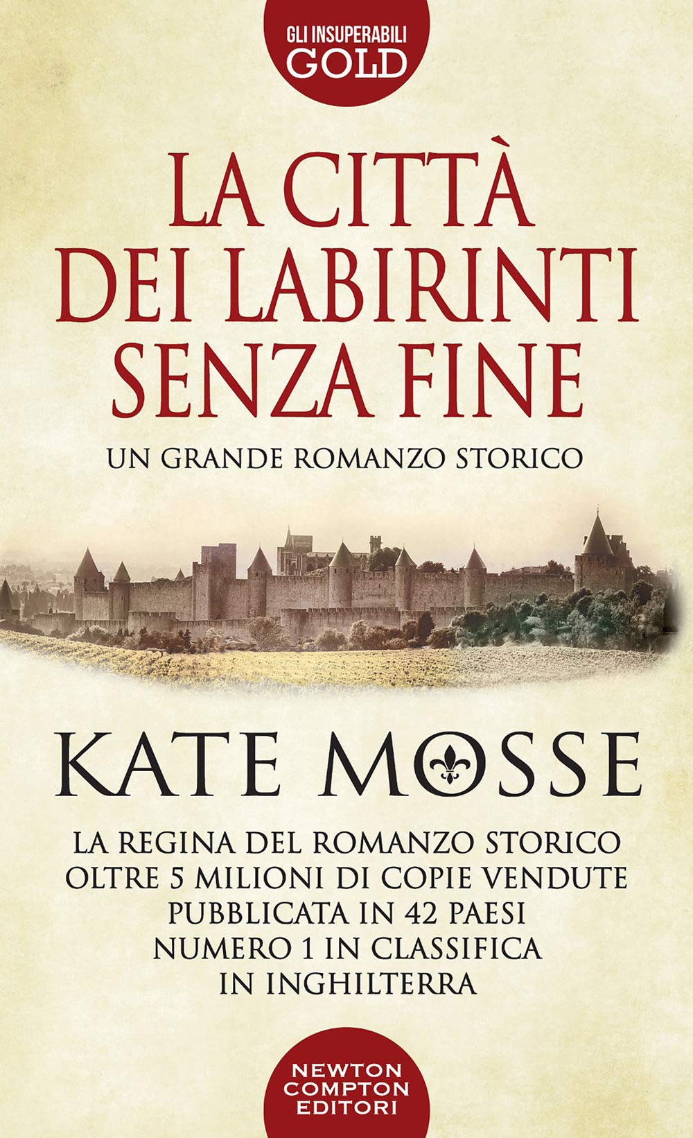 La città dei labirinti senza fine book
