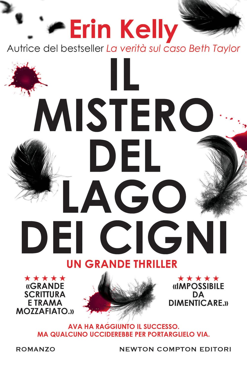 Il mistero del Lago dei cigni book