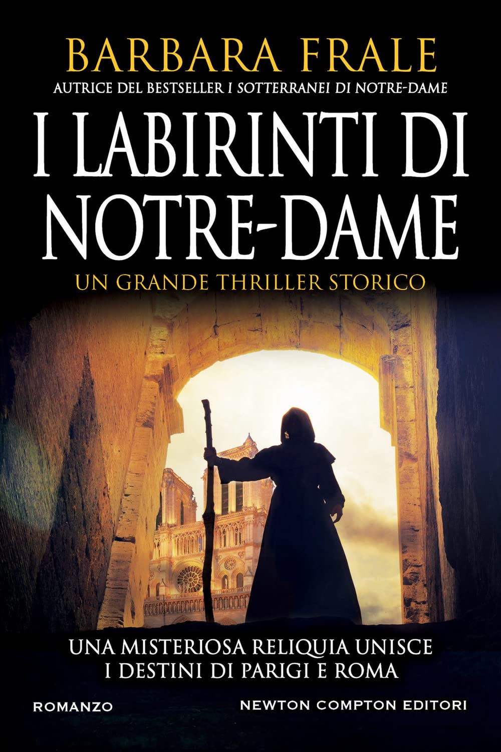 I labirinti di Notre-Dame (Nuova narrativa Newton) Action & Adventure