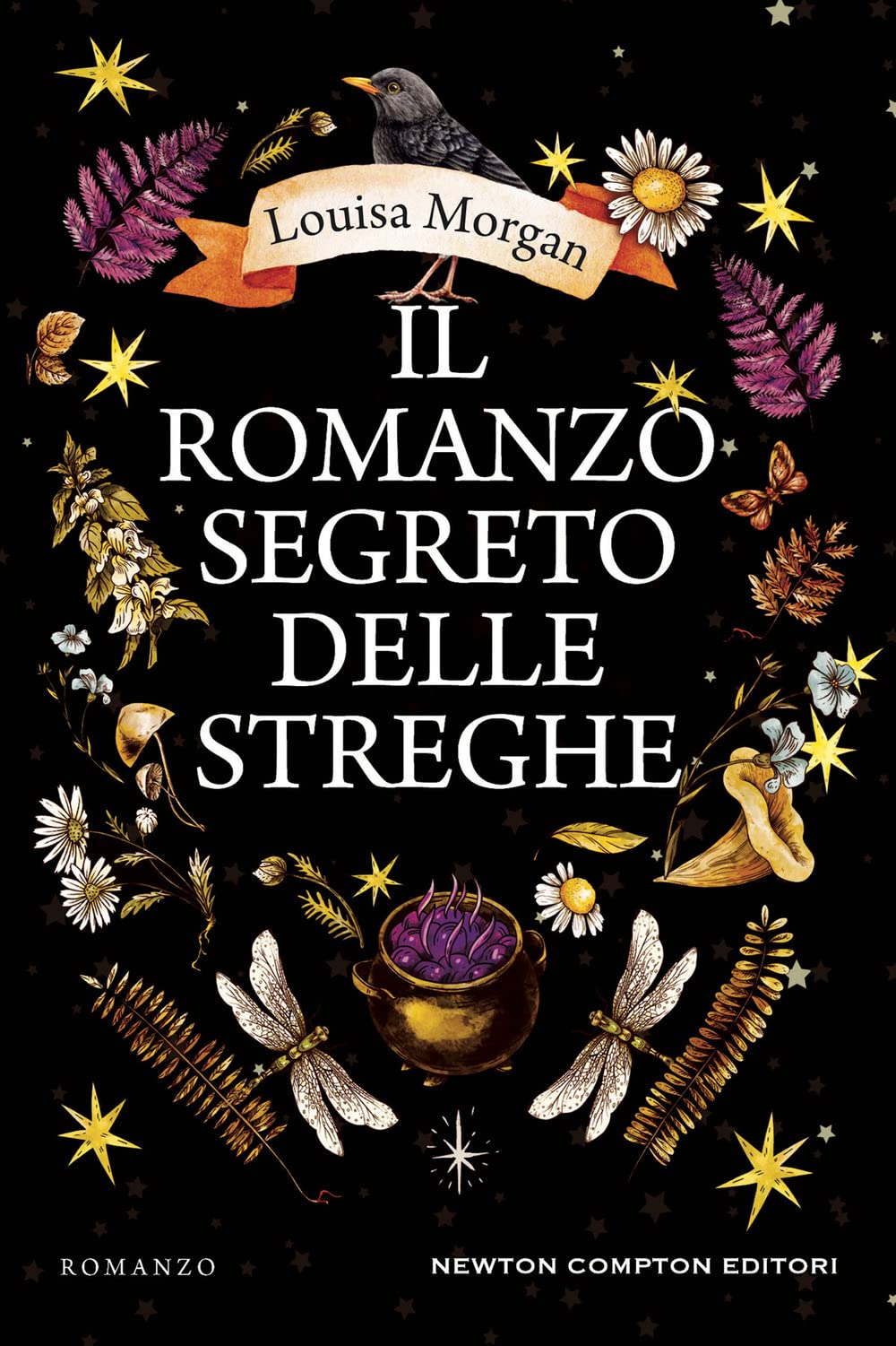 Il romanzo segreto delle streghe (Nuova narrativa Newton) Historical Fiction