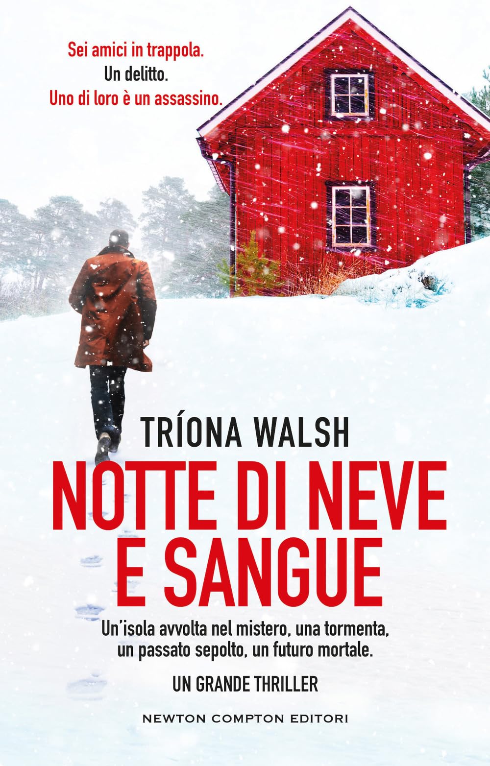 Notte di neve e sangue (Nuova narrativa Newton) Action & Adventure