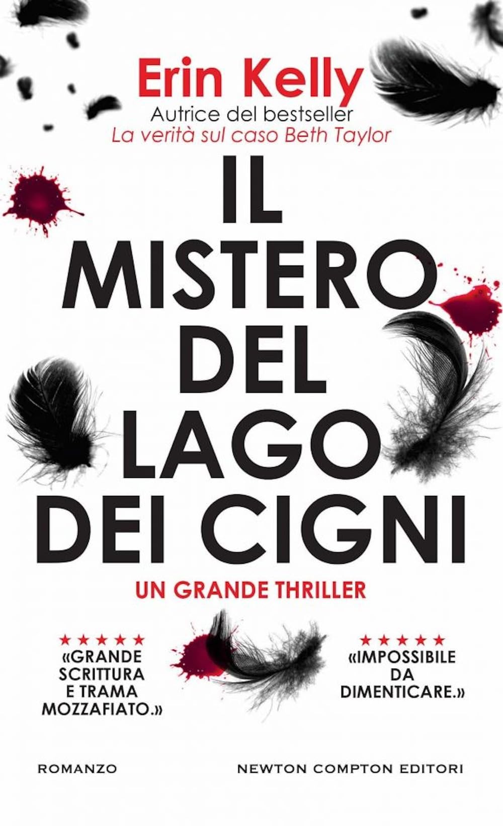 Il mistero del Lago dei cigni book