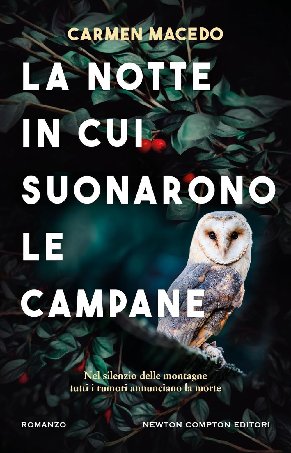 La notte in cui suonarono le campane book