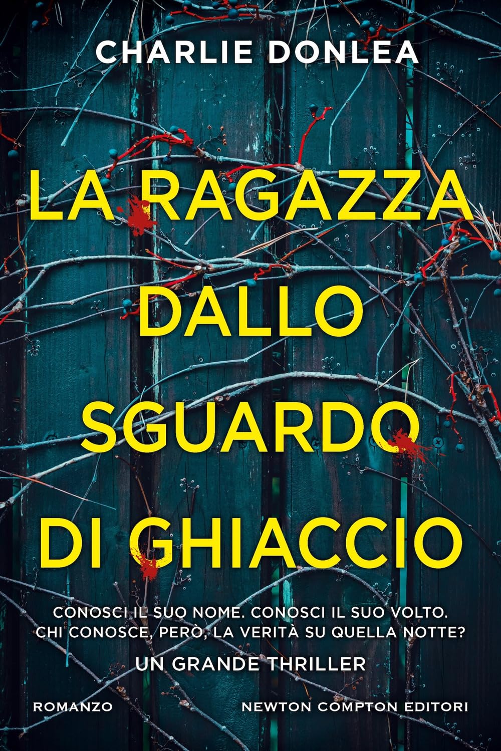 La ragazza dallo sguardo di ghiaccio Action & Adventure