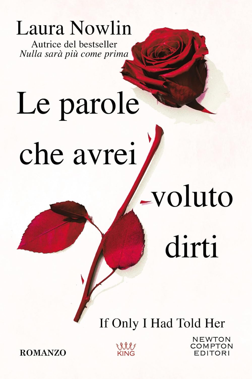 Le parole che avrei voluto dirti Contemporary literature