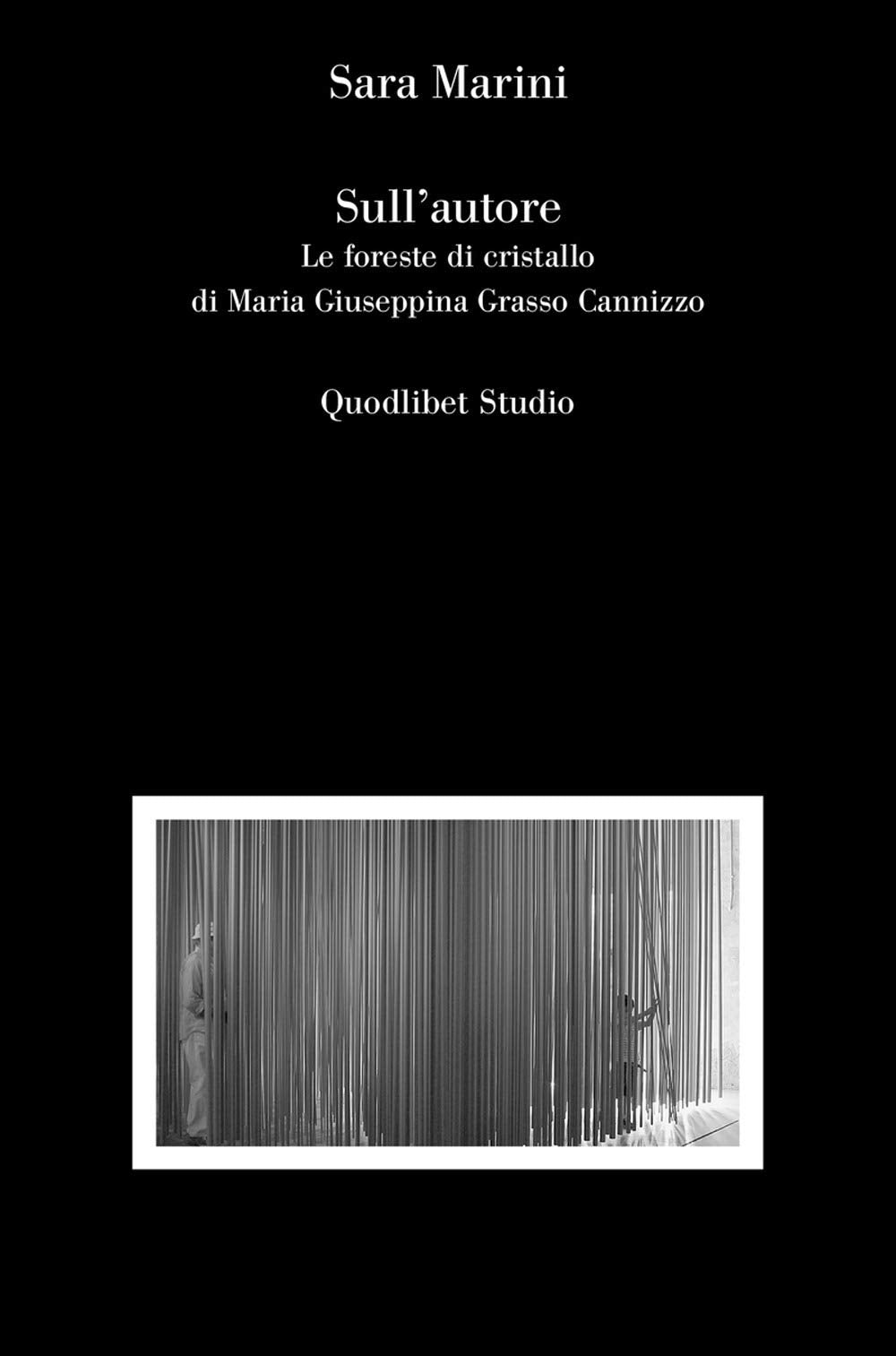 Sull'autore. Le foreste di cristallo di Maria Giuseppina Grasso Cannizzo Architecture