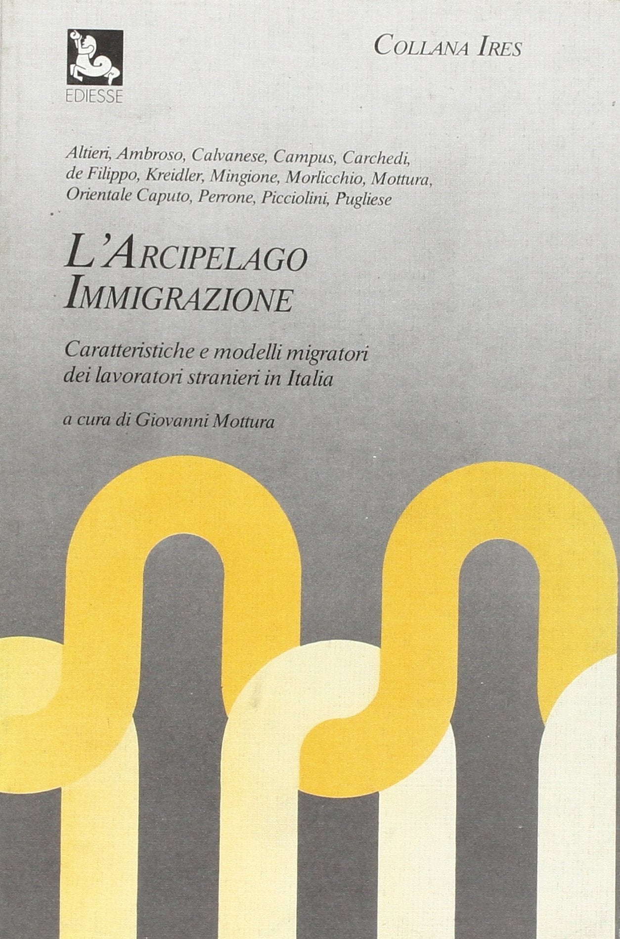 L'arcipelago immigrazione. Caratteristiche e modelli migratori dei lavoratori stranieri in Italia Books