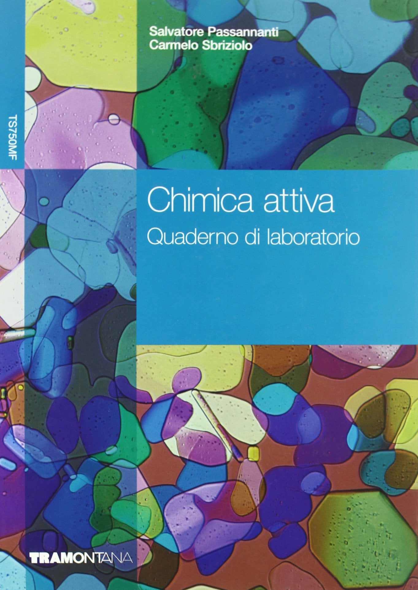 Chimica attiva. Quaderno delle attività sperimentali. Per le Scuole superiori book