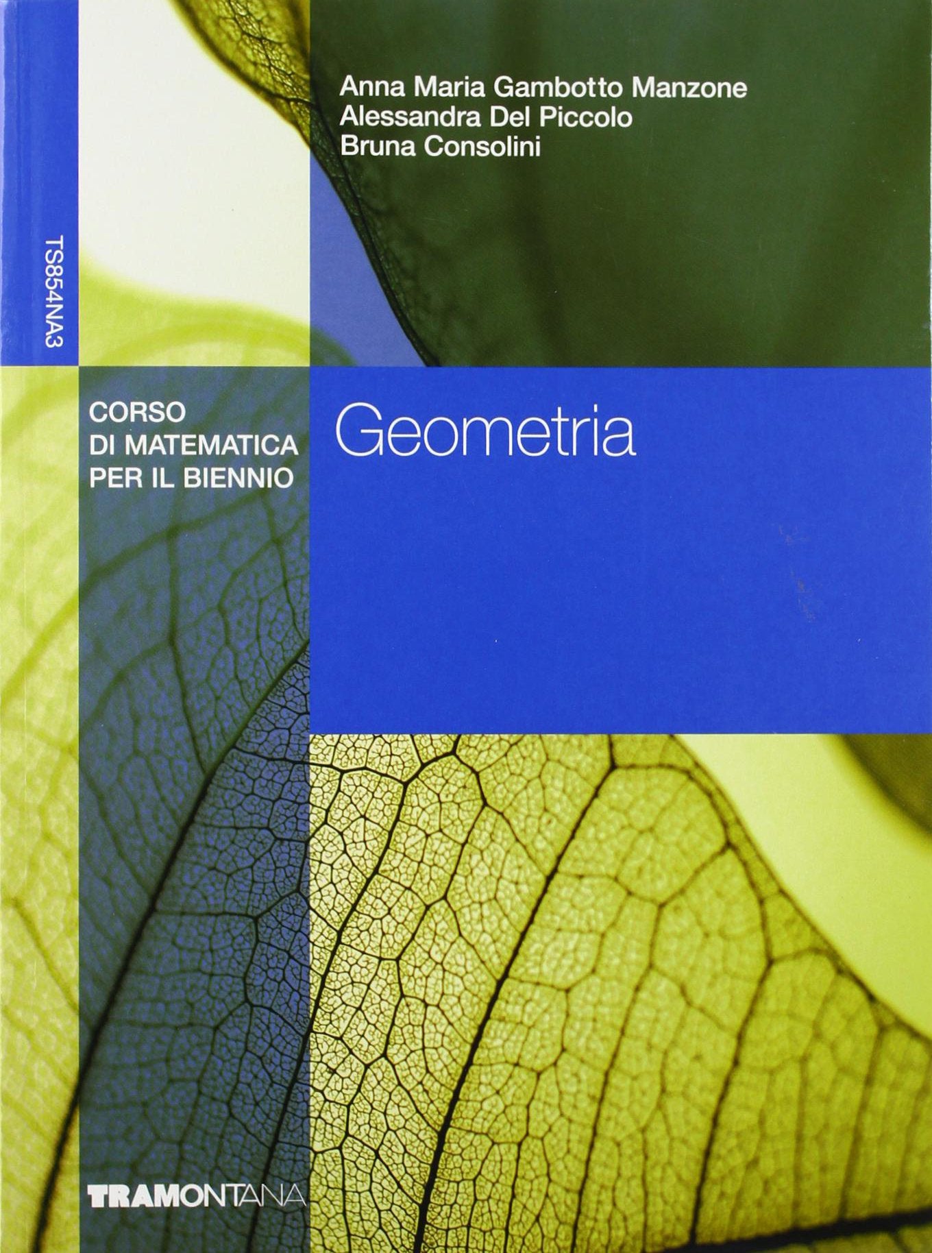 Geometria. Corso di matematica. Per il biennio degli Ist. tecnici commerciali Non-fiction