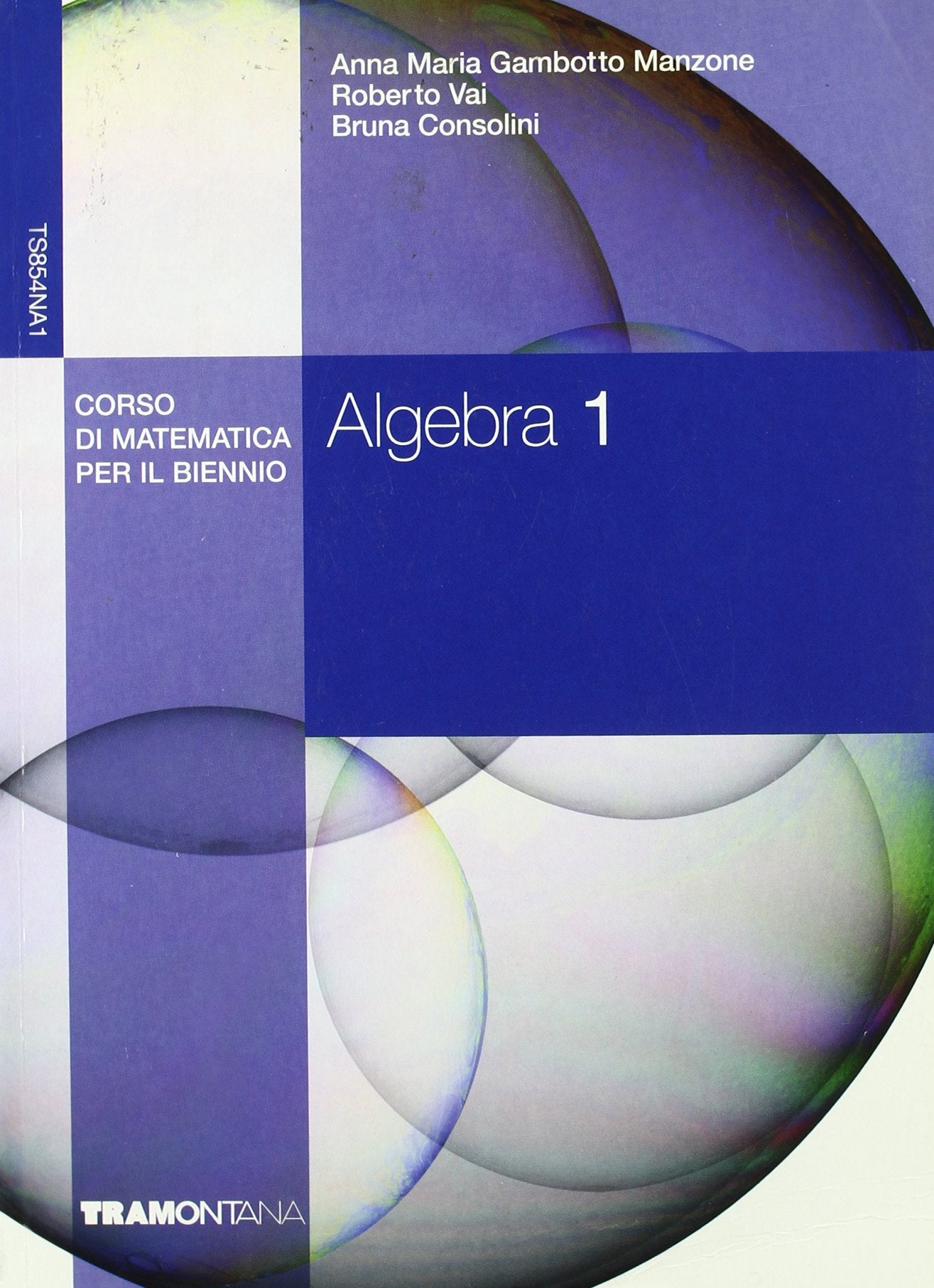 Algebra. Corso di matematica per il biennio. Per gli Ist. tecnici commerciali (Vol. 1) Non-fiction