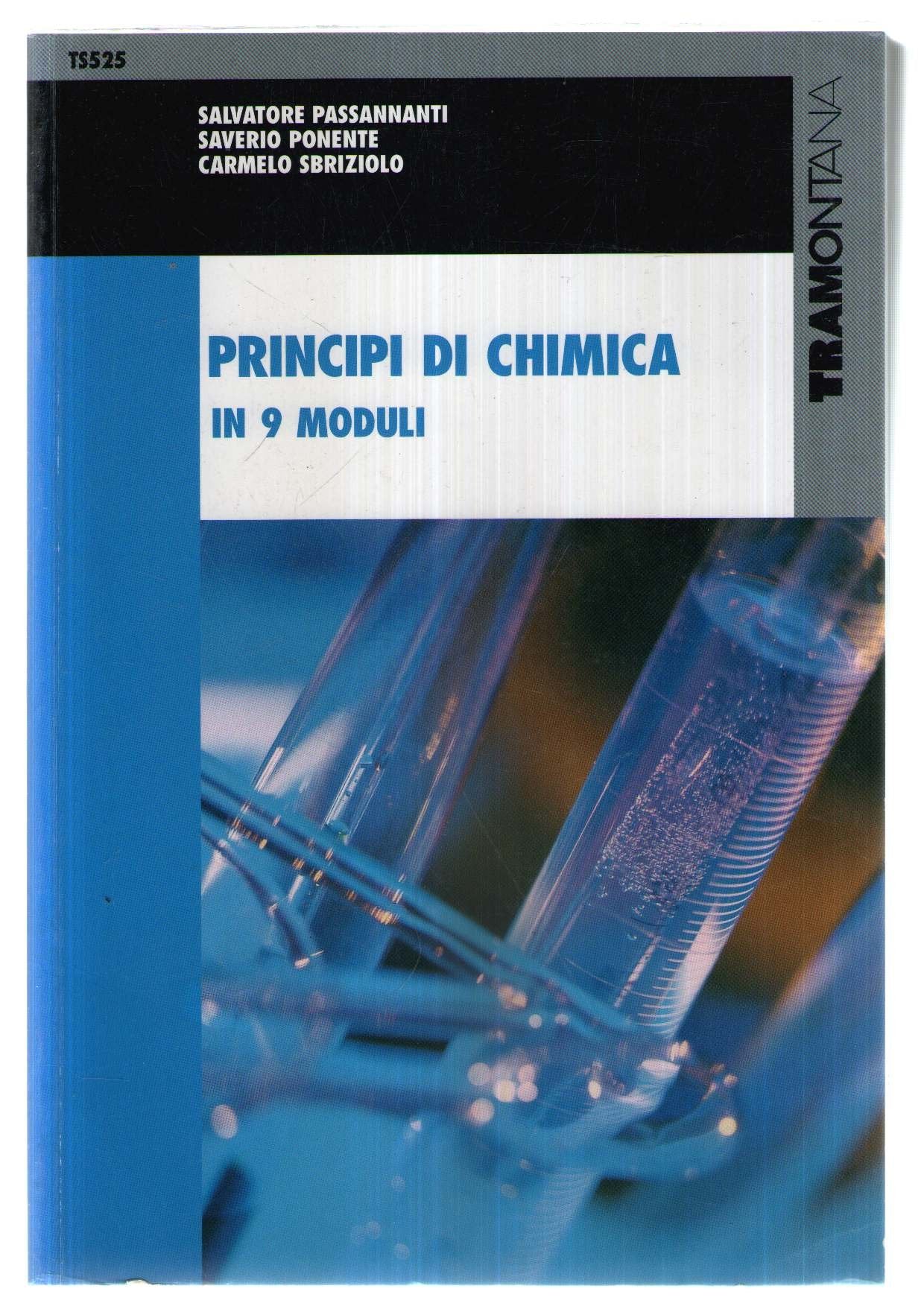 Principi di chimica in 9 moduli book