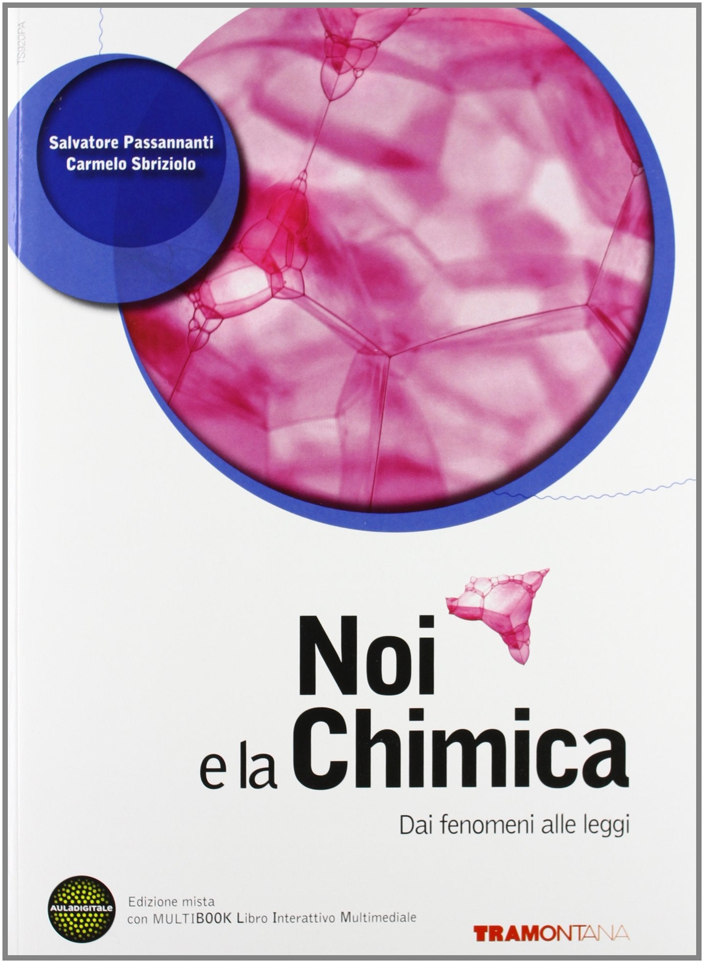 Noi e la chimica 1. Dai fenomeni alle leggi. Per le Scuole superiori. Con DVD-ROM. Con espansione online Professional & Reference Books
