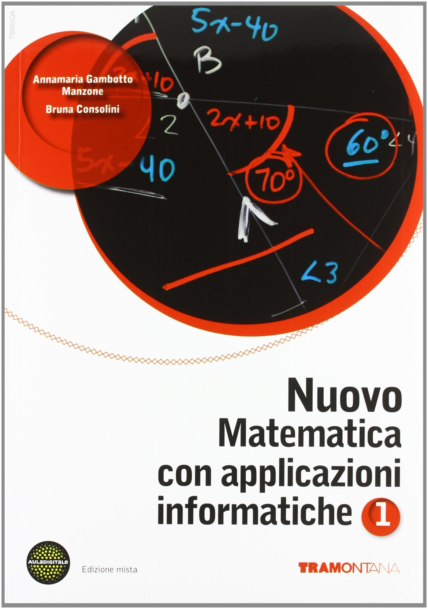 Nuovo matematica con applicazioni informatiche. Per le Scuole superiori. Con espansione online (Vol. 1) Professional & Reference Books