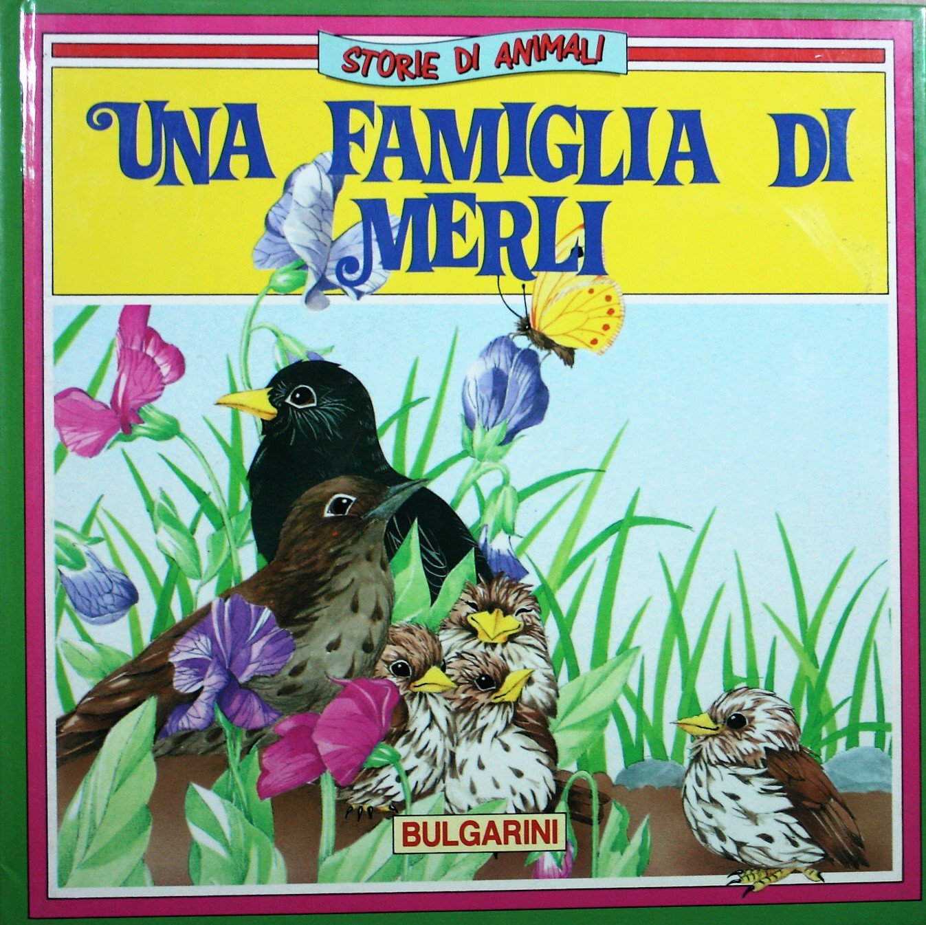 Una famiglia di merli book