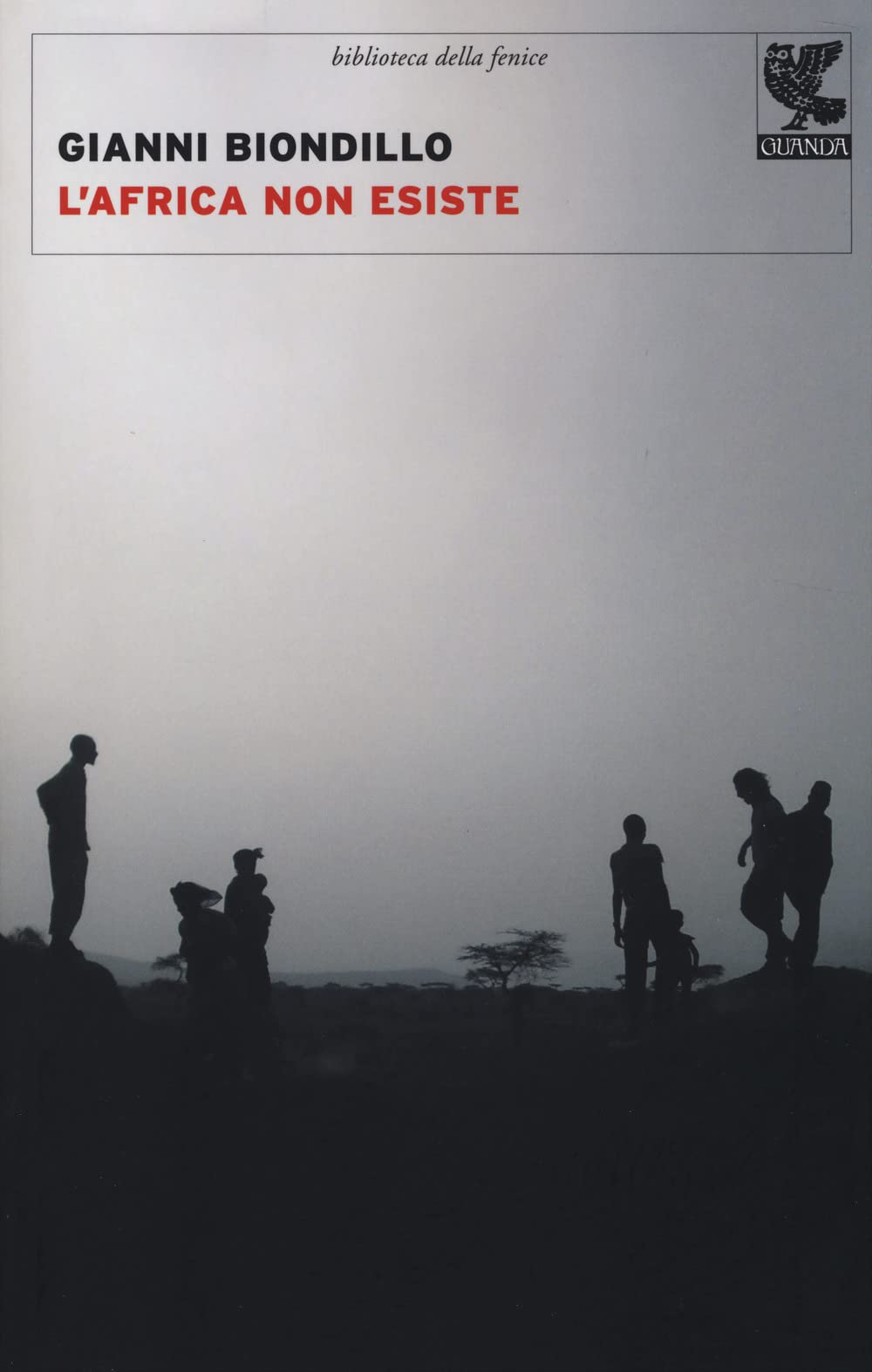 L'Africa non esiste book