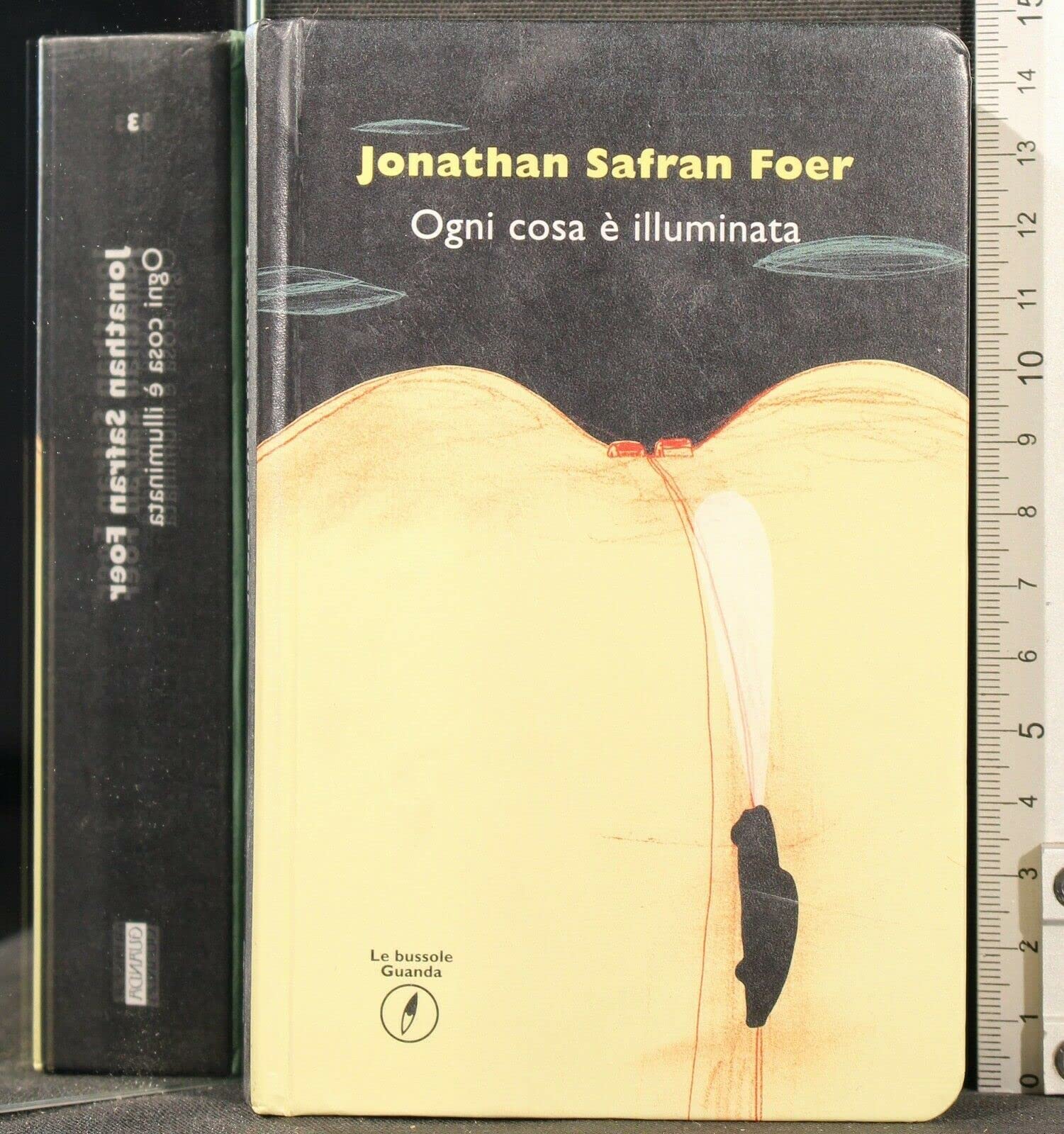 Ogni cosa è illuminata (Le bussole Guanda, Band 3) Contemporary literature