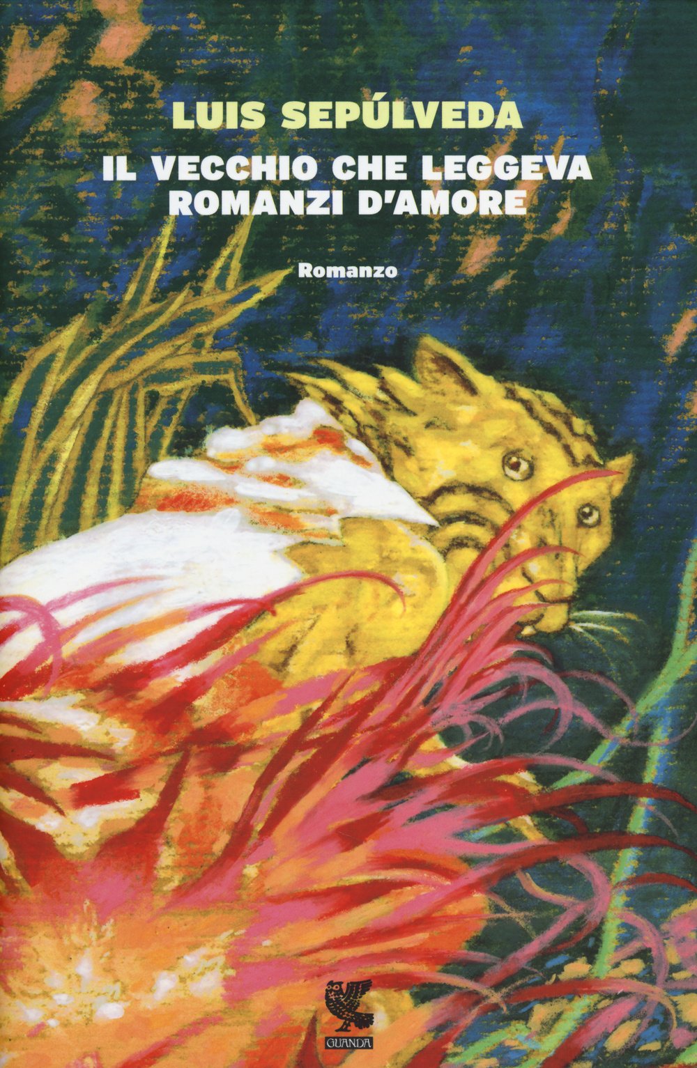 Il vecchio che leggeva romanzi d'amore book