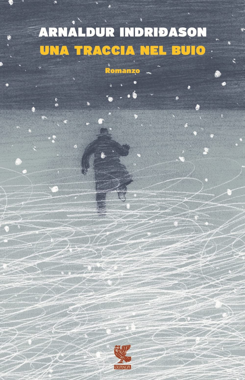 Una traccia nel buio book