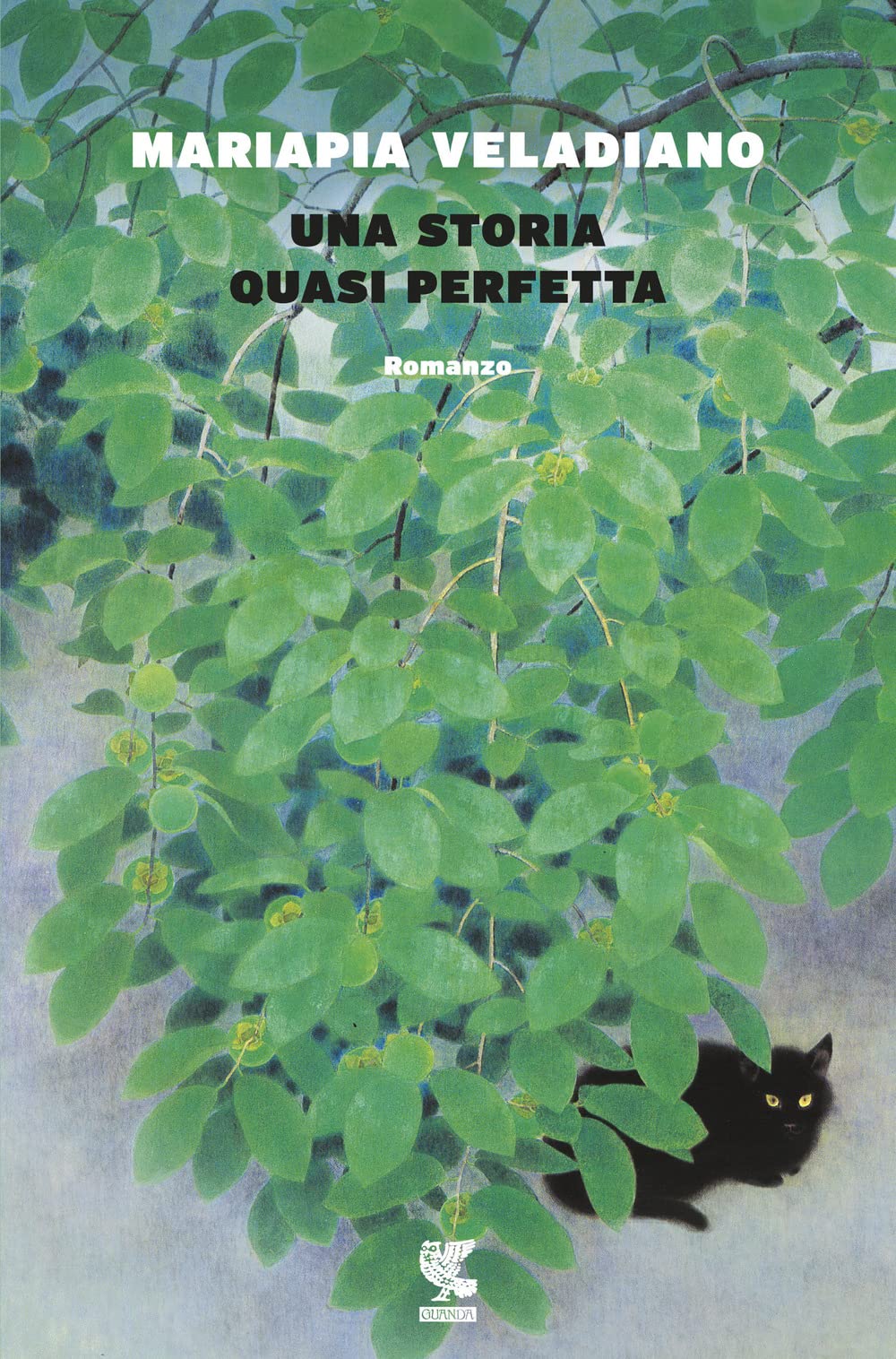 Una storia quasi perfetta book