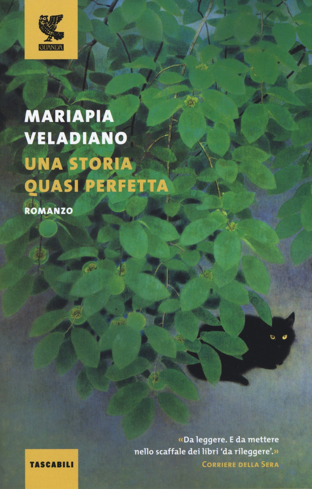 Una storia quasi perfetta Contemporary literature